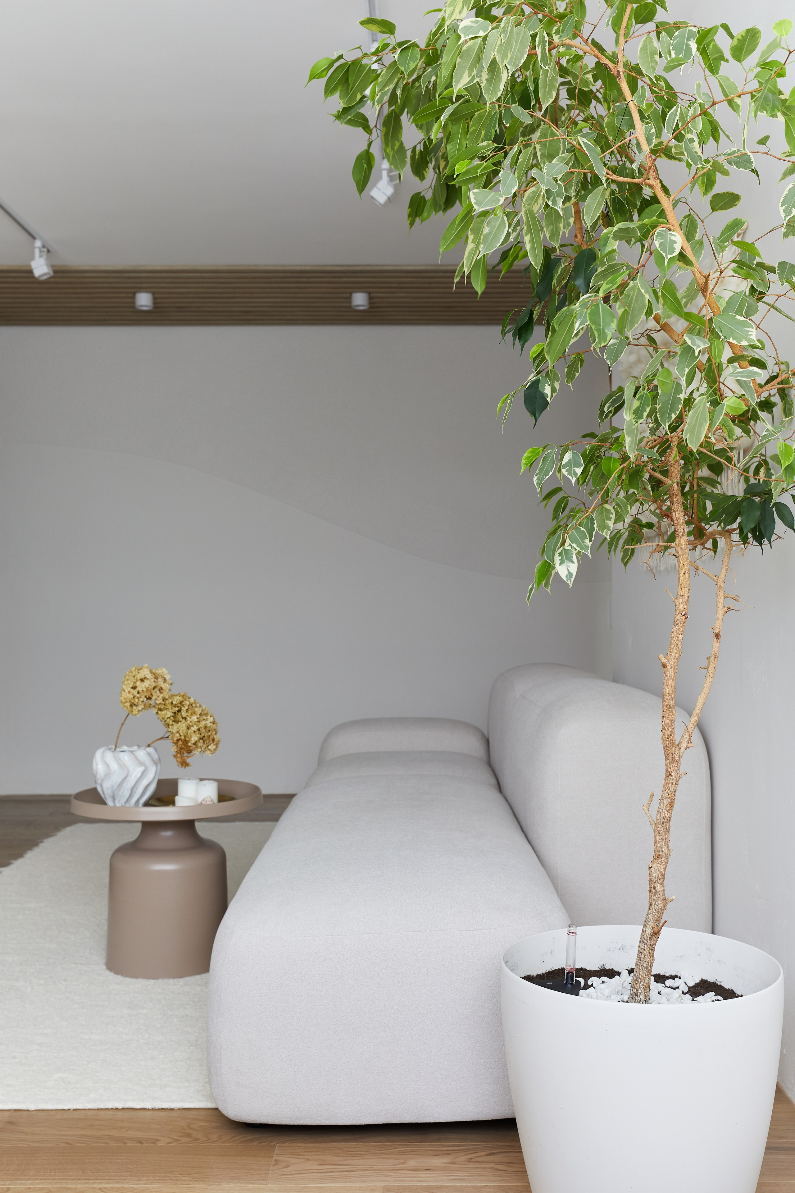 Дизайнерская фотосъёмка проекта для Варнавской Наталии. Интерьерный фотограф в Сочи Анисимова Ольга