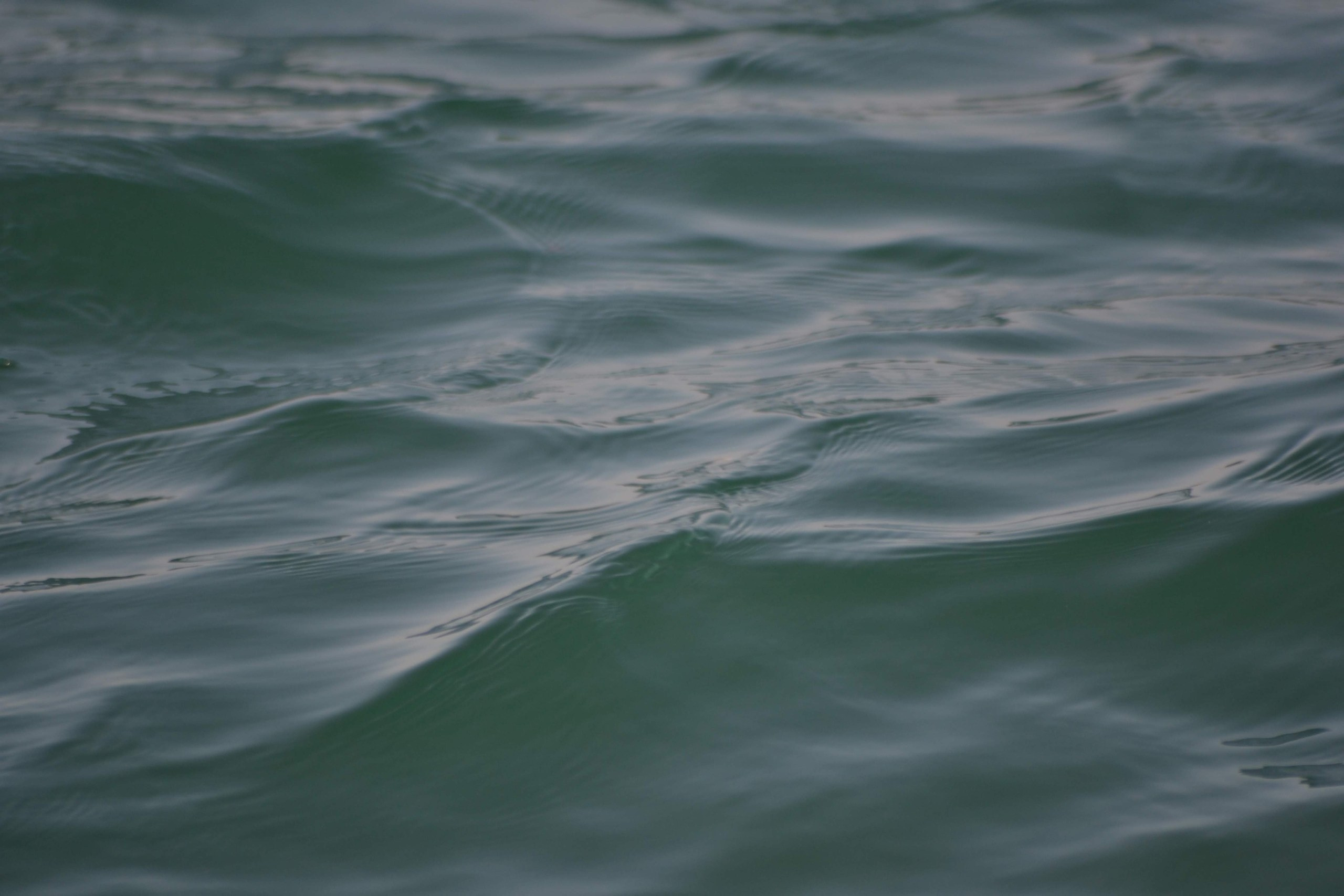 Моменты 2011-2016. Анастасия Либерти