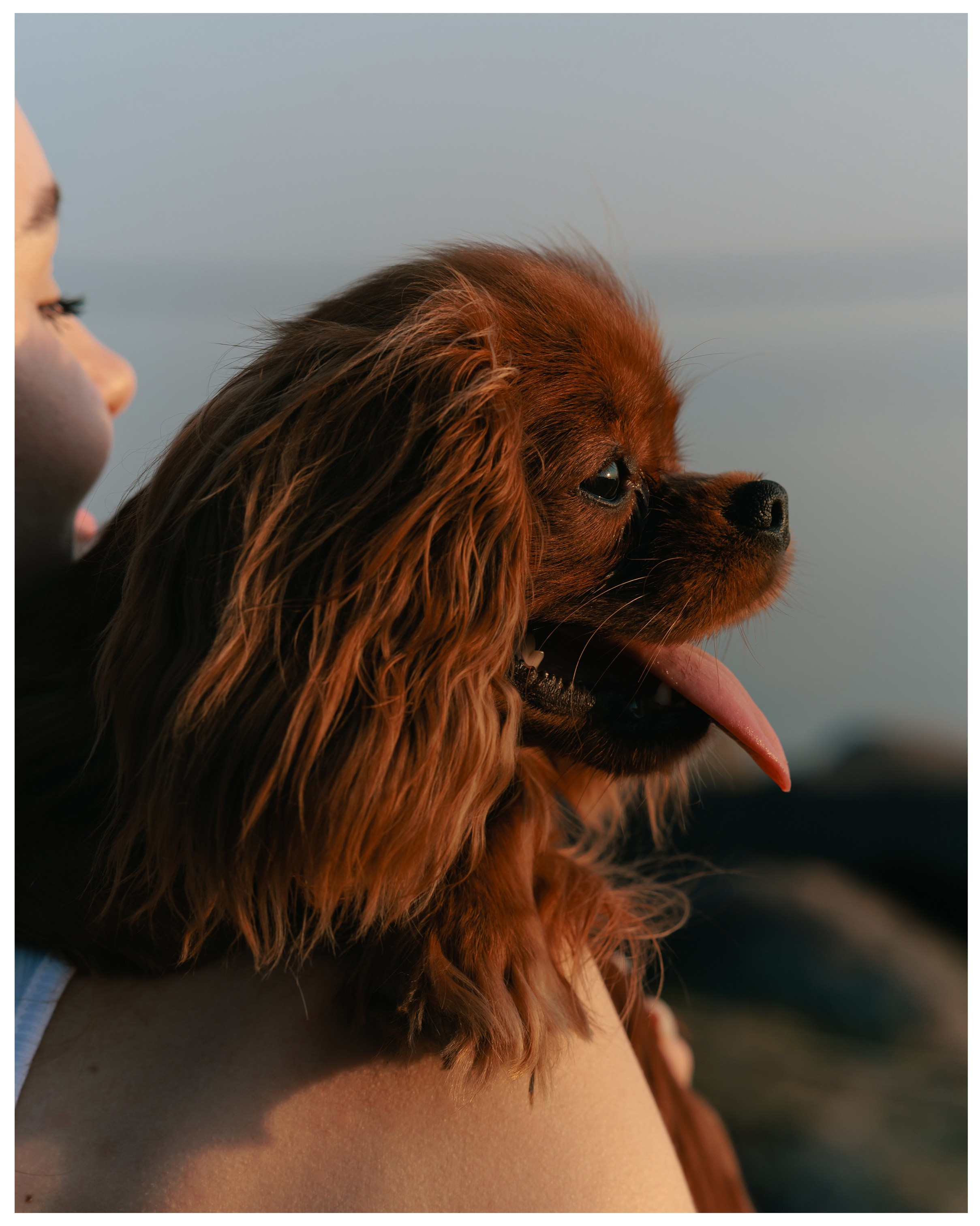 Анна и Юпи. Фотограф в Санкт-Петербурге Алёна Губинская