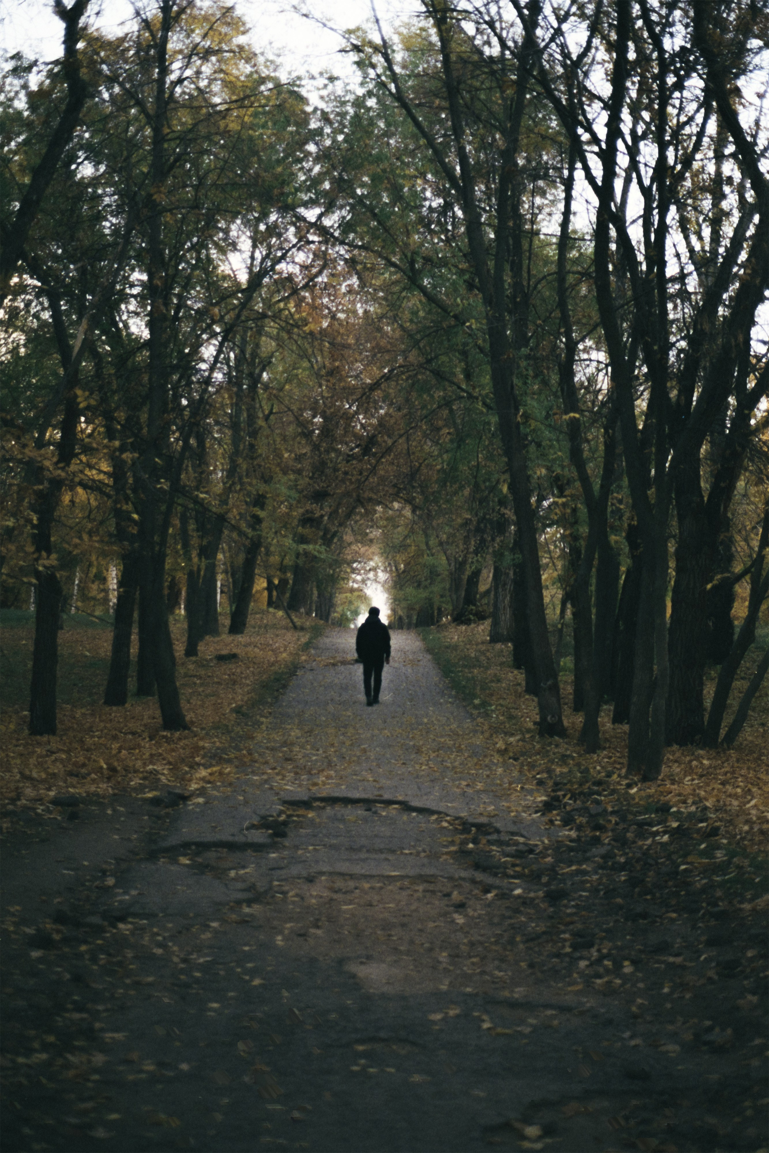 Пленочная история. Дмитрий Пропадалин, Нейрофотография