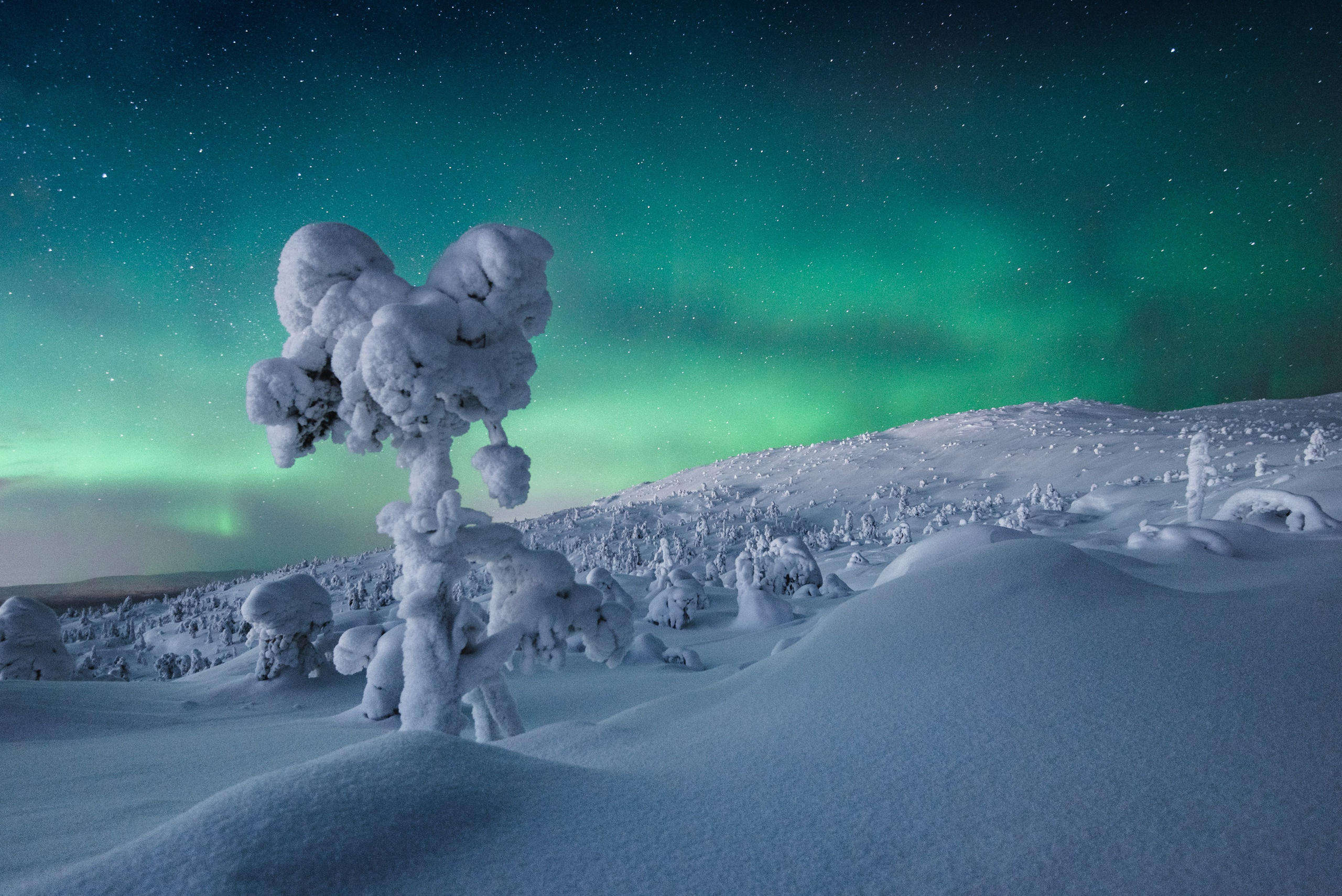 КАНДАЛАКША | БЕЛОЕ МОРЕ. Пейзажный и тревел-фотограф Алексей Соколенко