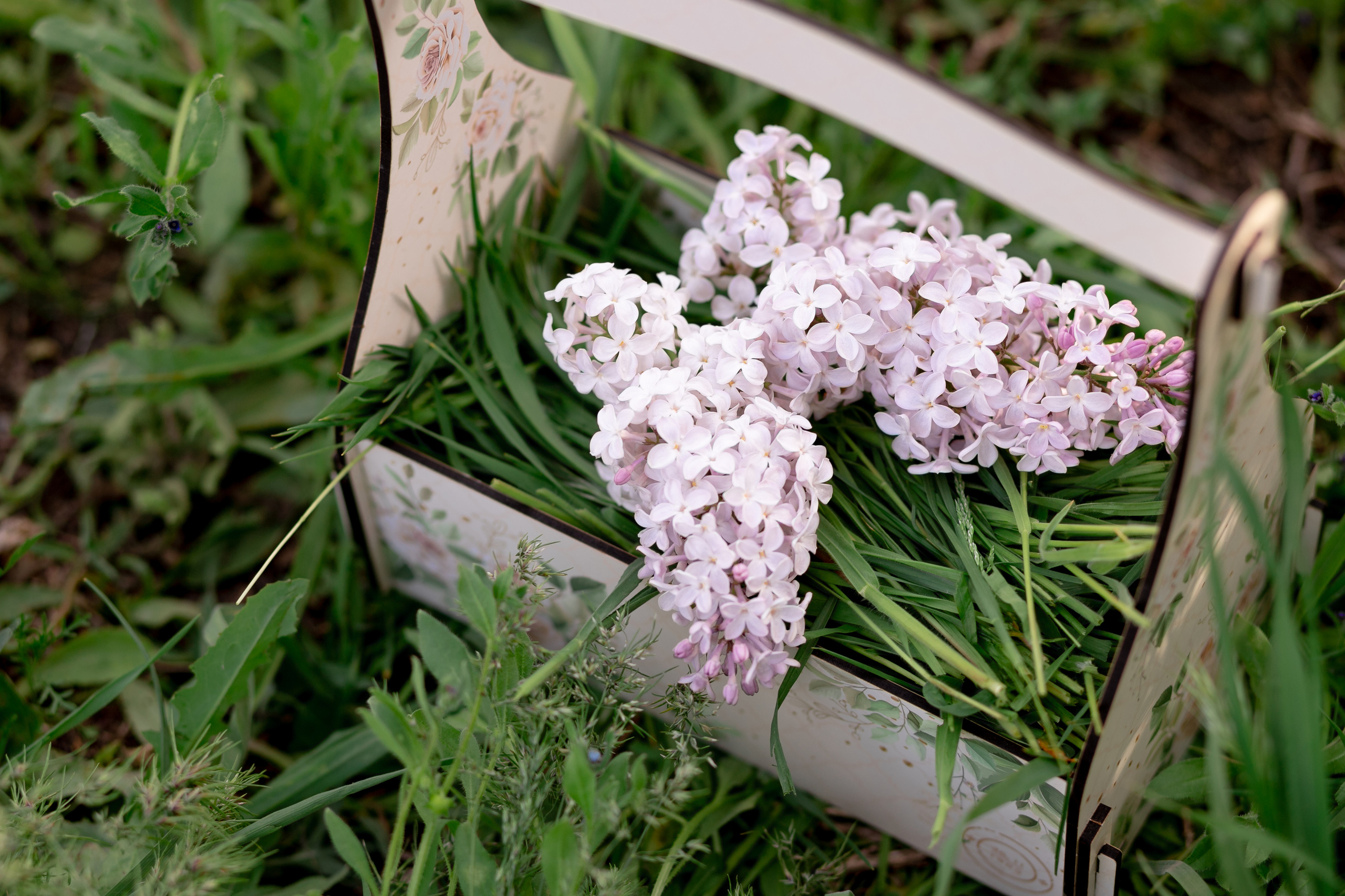 В сирени. Фотограф Кравченко Юлия. Энгельс