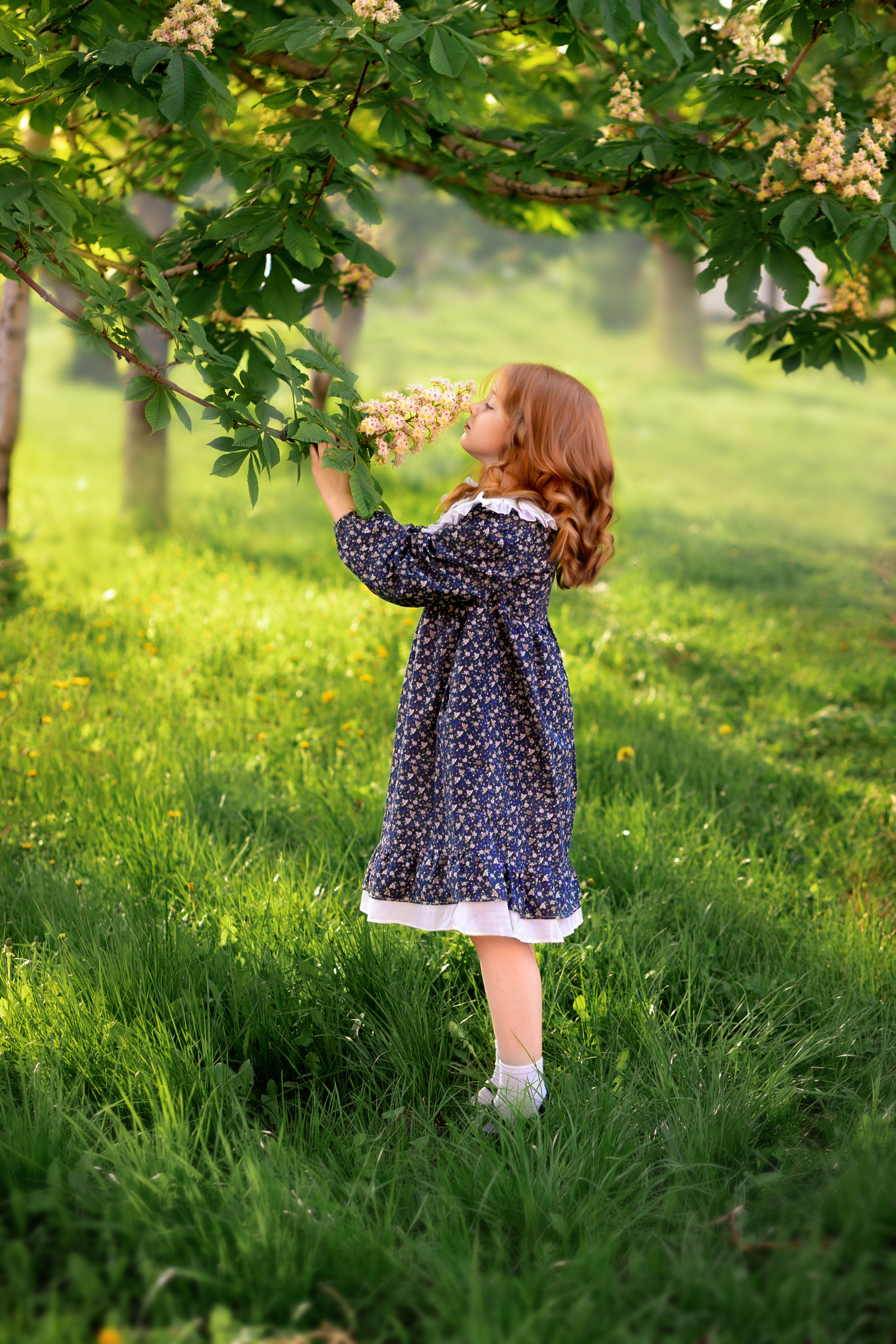 В сирени. Фотограф Кравченко Юлия. Энгельс