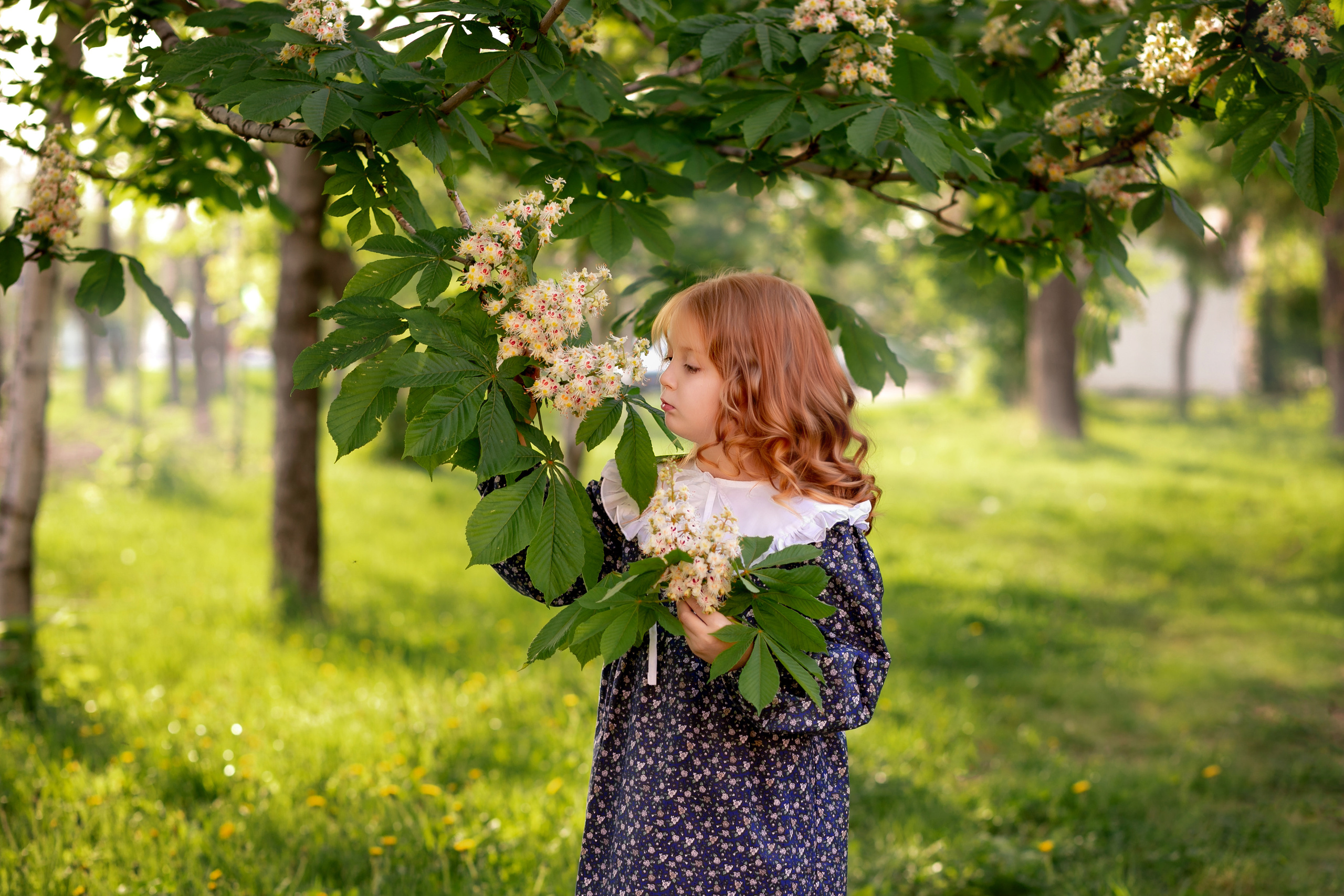 В сирени. Фотограф Кравченко Юлия. Энгельс