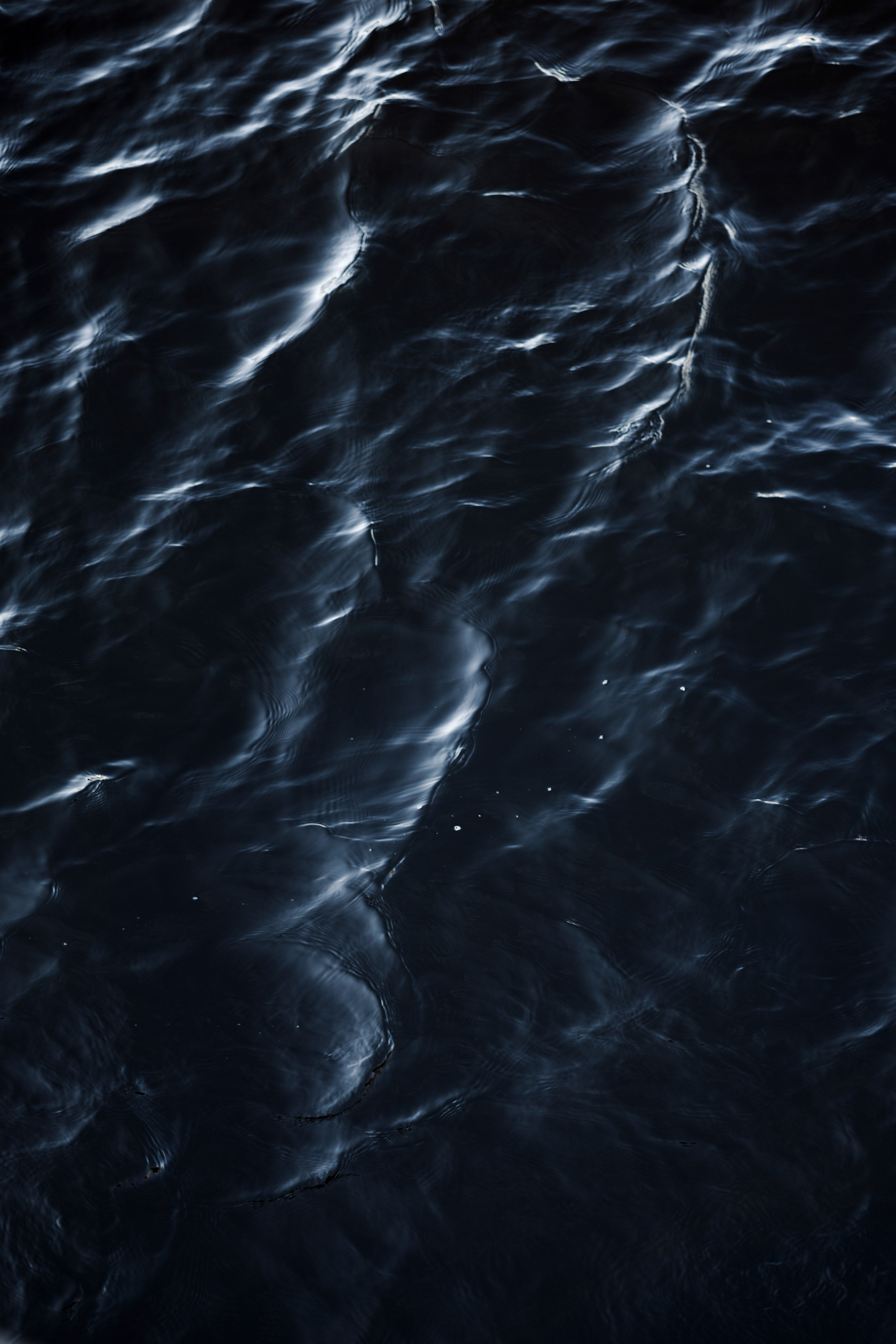 A&N. Свадебный фотограф Лиза Макатович Беларусь Минск