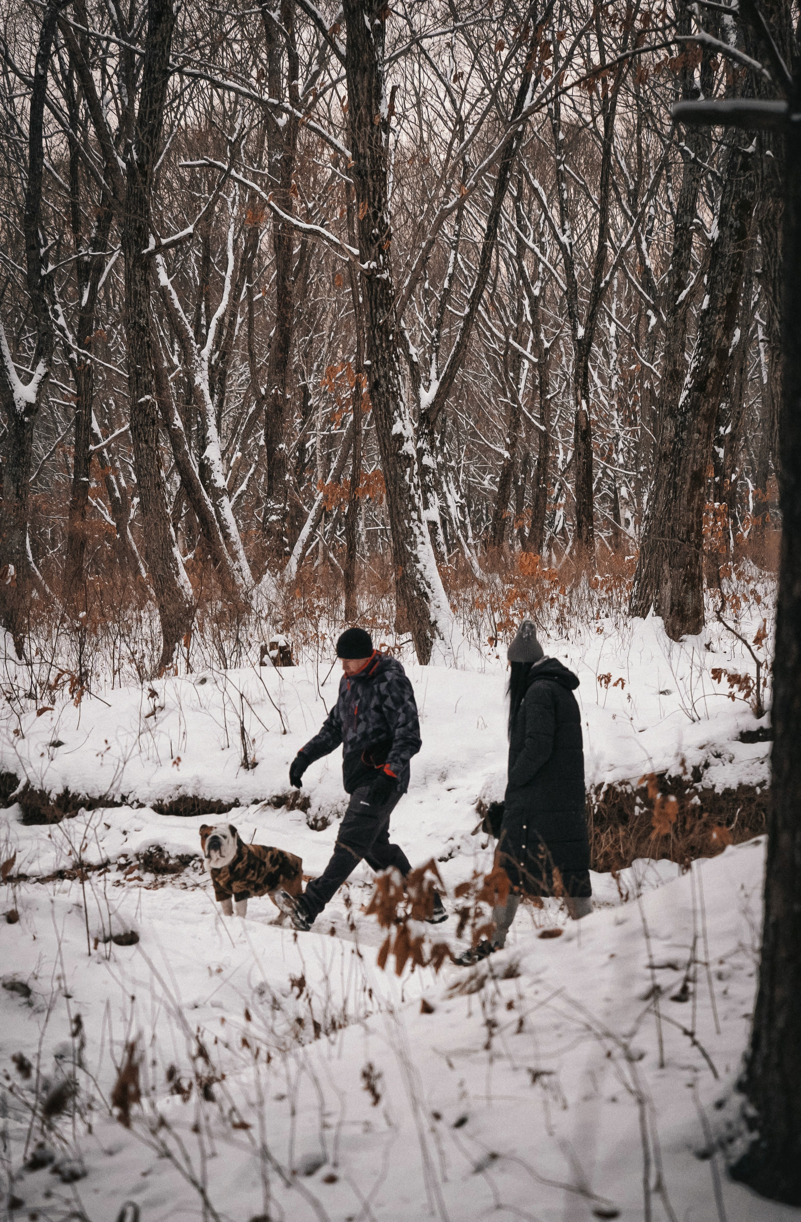 Зимняя история. Семейный фотограф анималист г. Находка