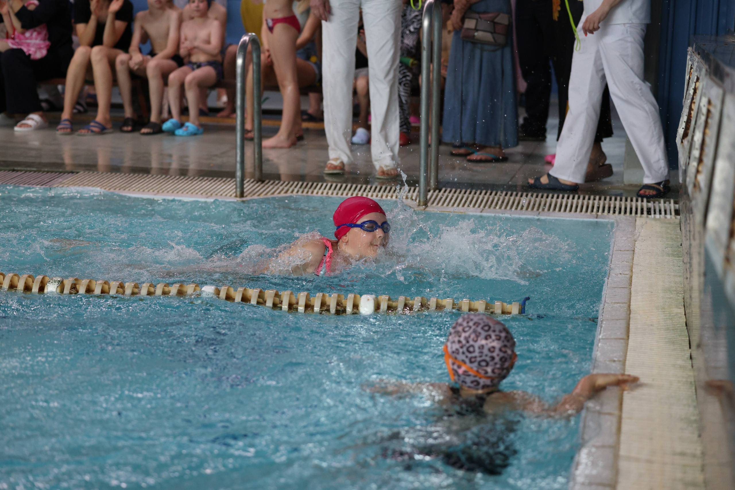 Веселый дельфин. Плавание. Дети 8-9 лет. Фотограф Александр Заломаев