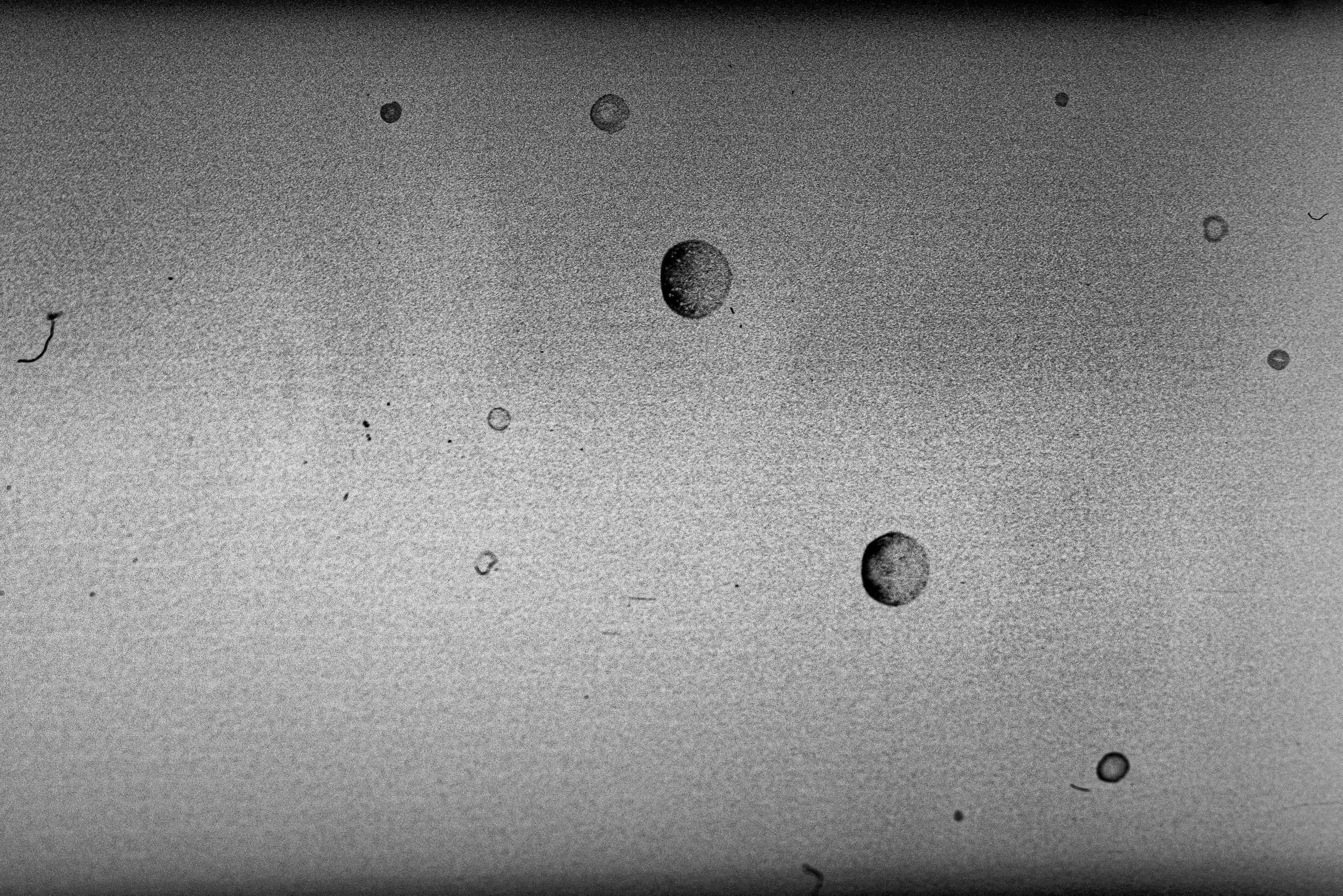 Traces. Veronika Verbitskaia | Contemporary Photographer | Dublin