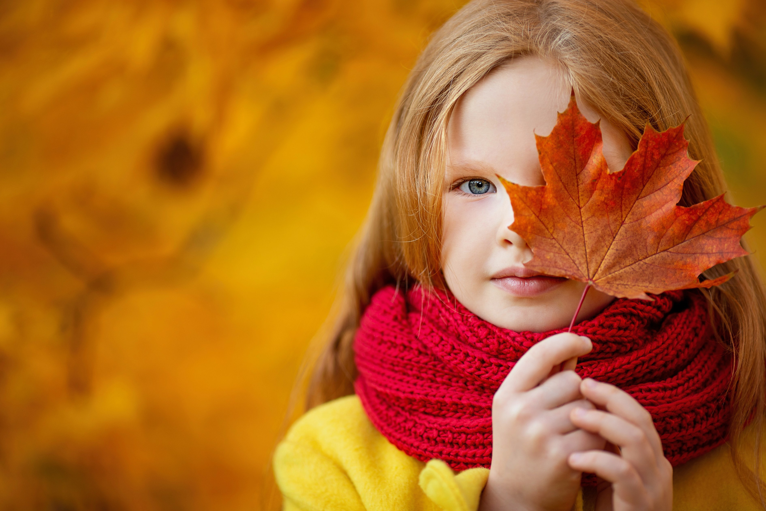 осень, осенний портрет, кленовый лист