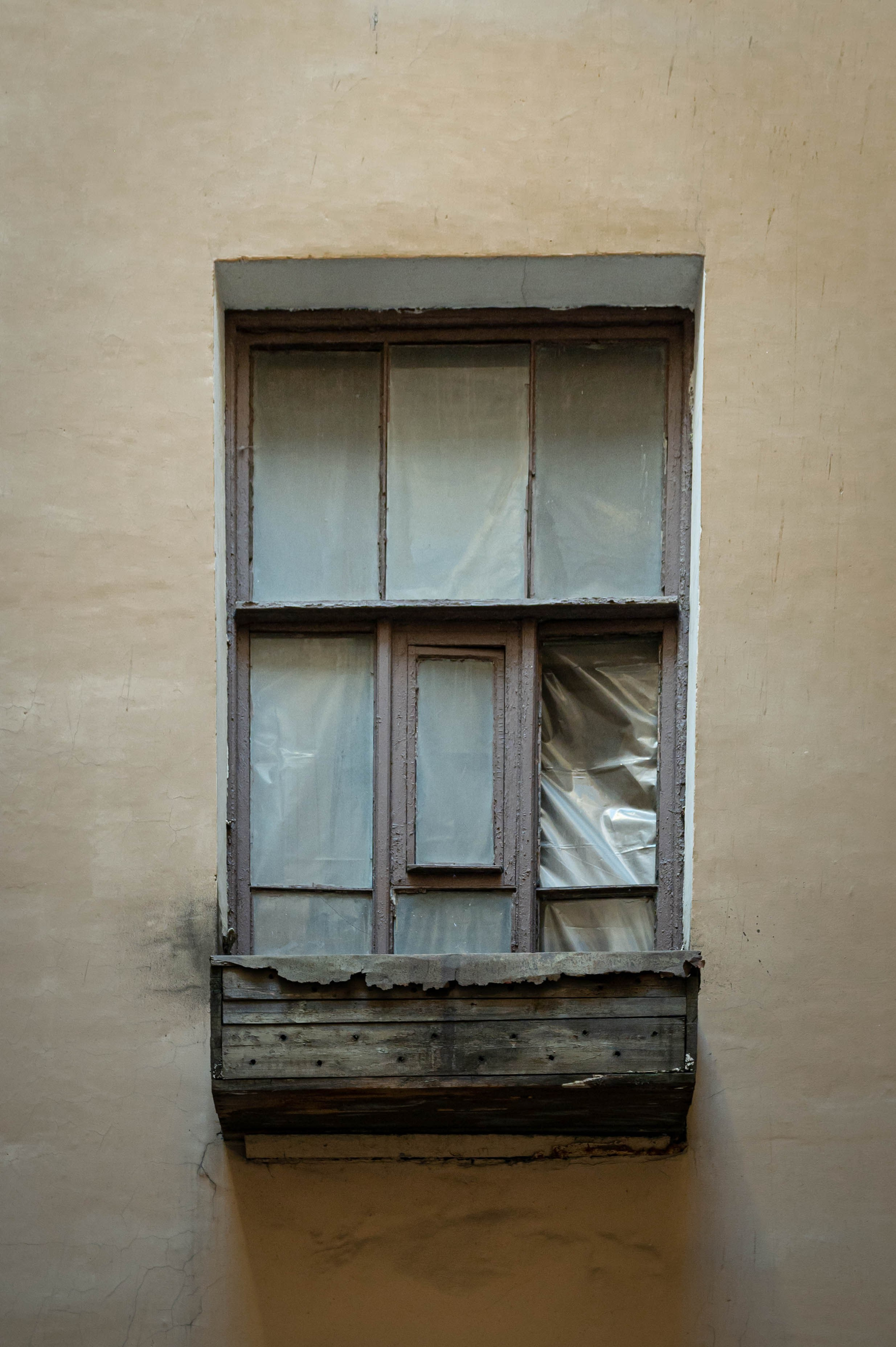 Репортажная фотосъёмка в Петербурге | Портретный фотограф Ольга Берёза. Экскурсовод в Санкт-Петербурге | Ольга Колоскова