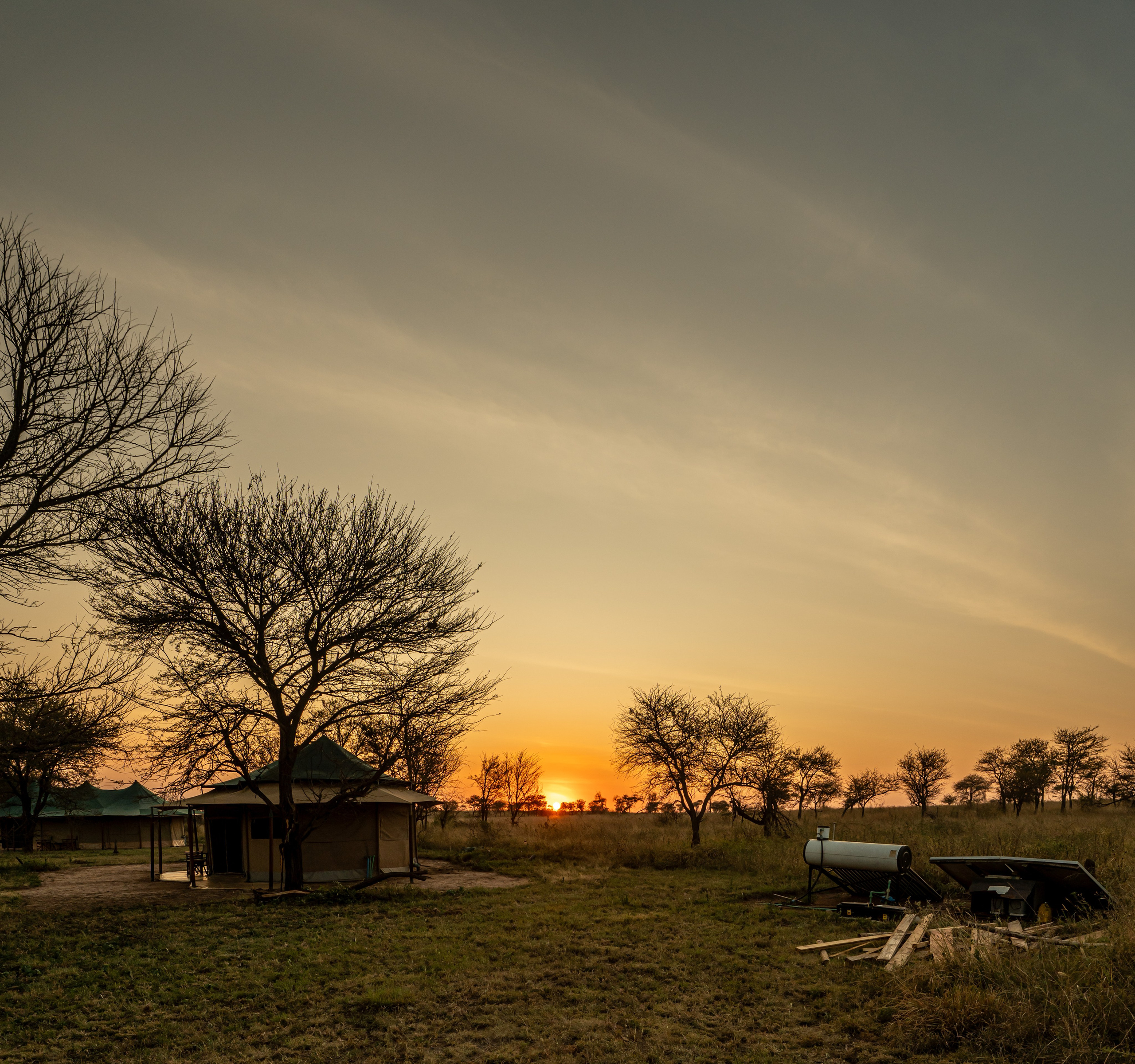Танзания, сафари, 2025. Творческие сьемки