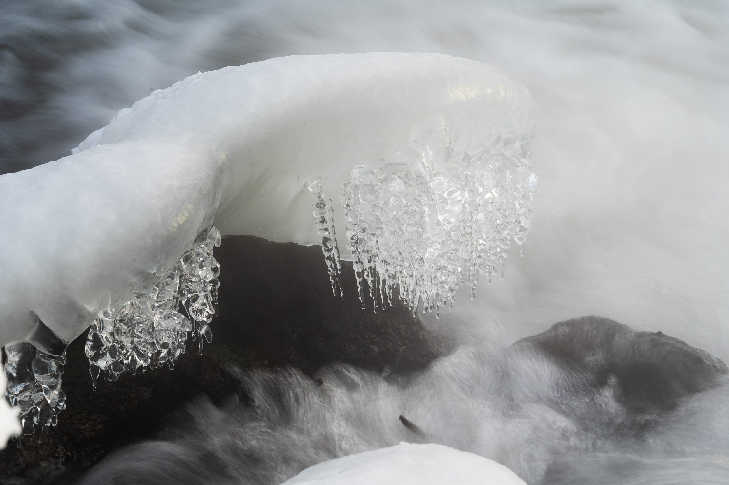 Озеро Горячка. Фотограф и видеооператор в Туле | Даниил Рыбак