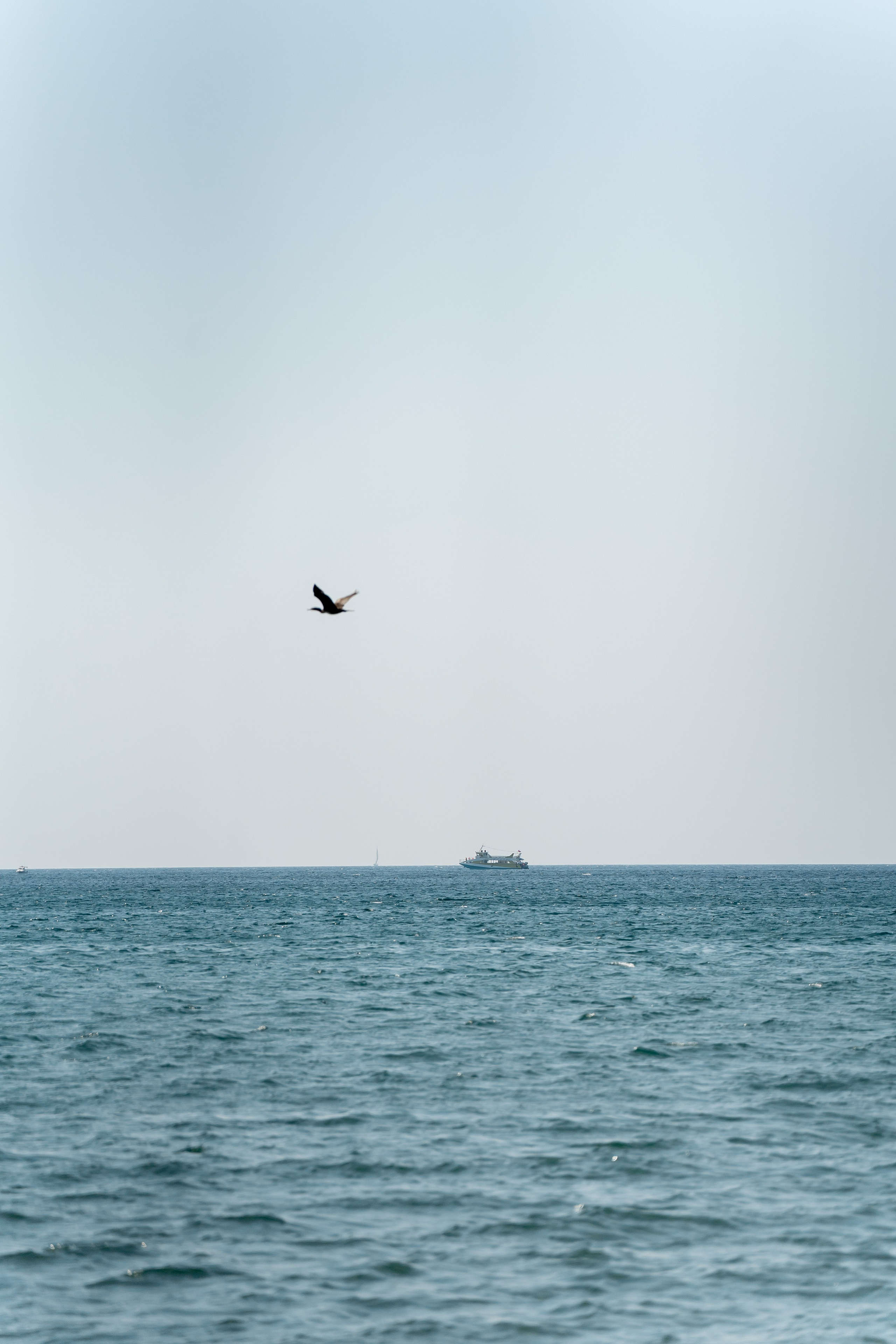 Артём и Евгения. Карпенко Марина свадебный и семейный фотограф Анапа, Краснодар, Геленджик, Сочи, Темрюк