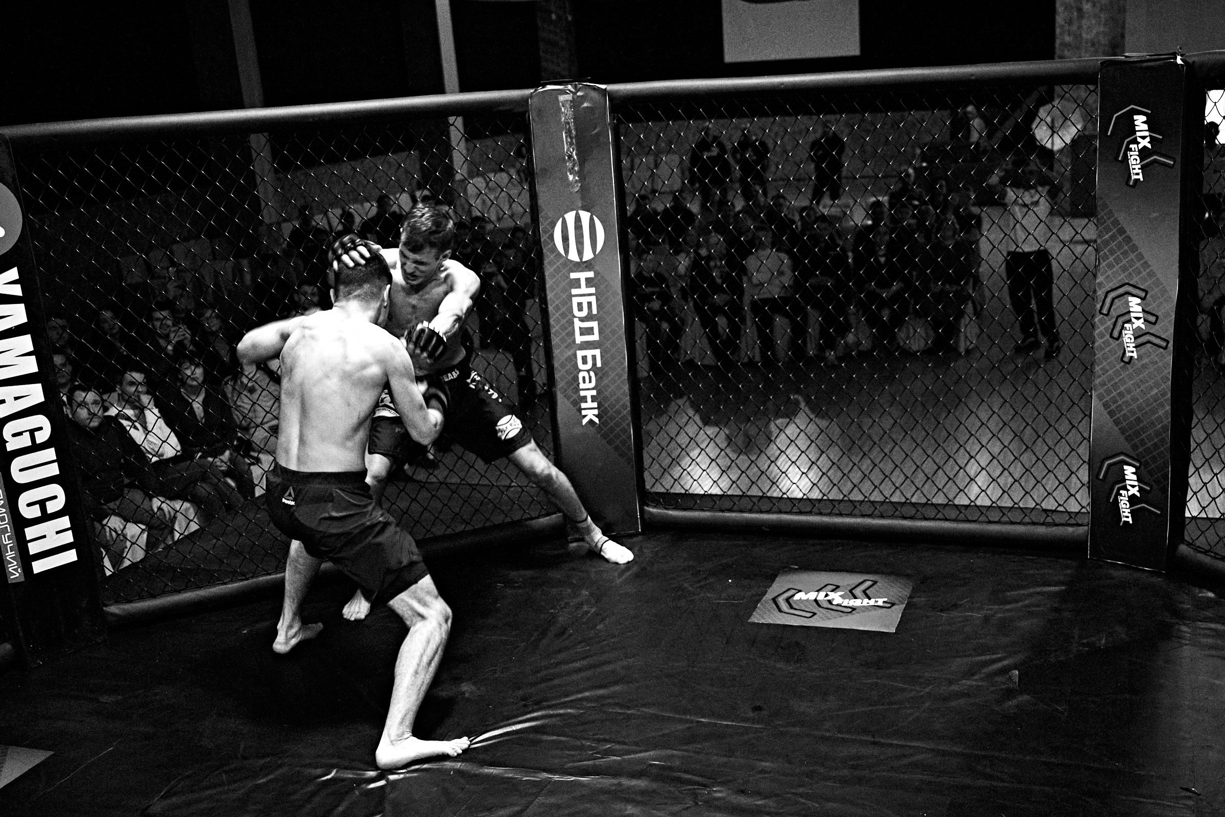 Бои. Маляревич Дмитрий свадебный фотограф