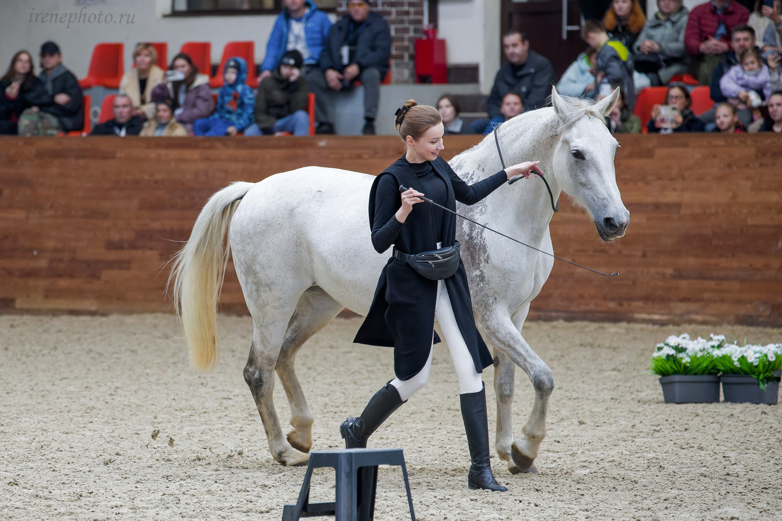 Конная Россия 2024. Irenephoto.ru