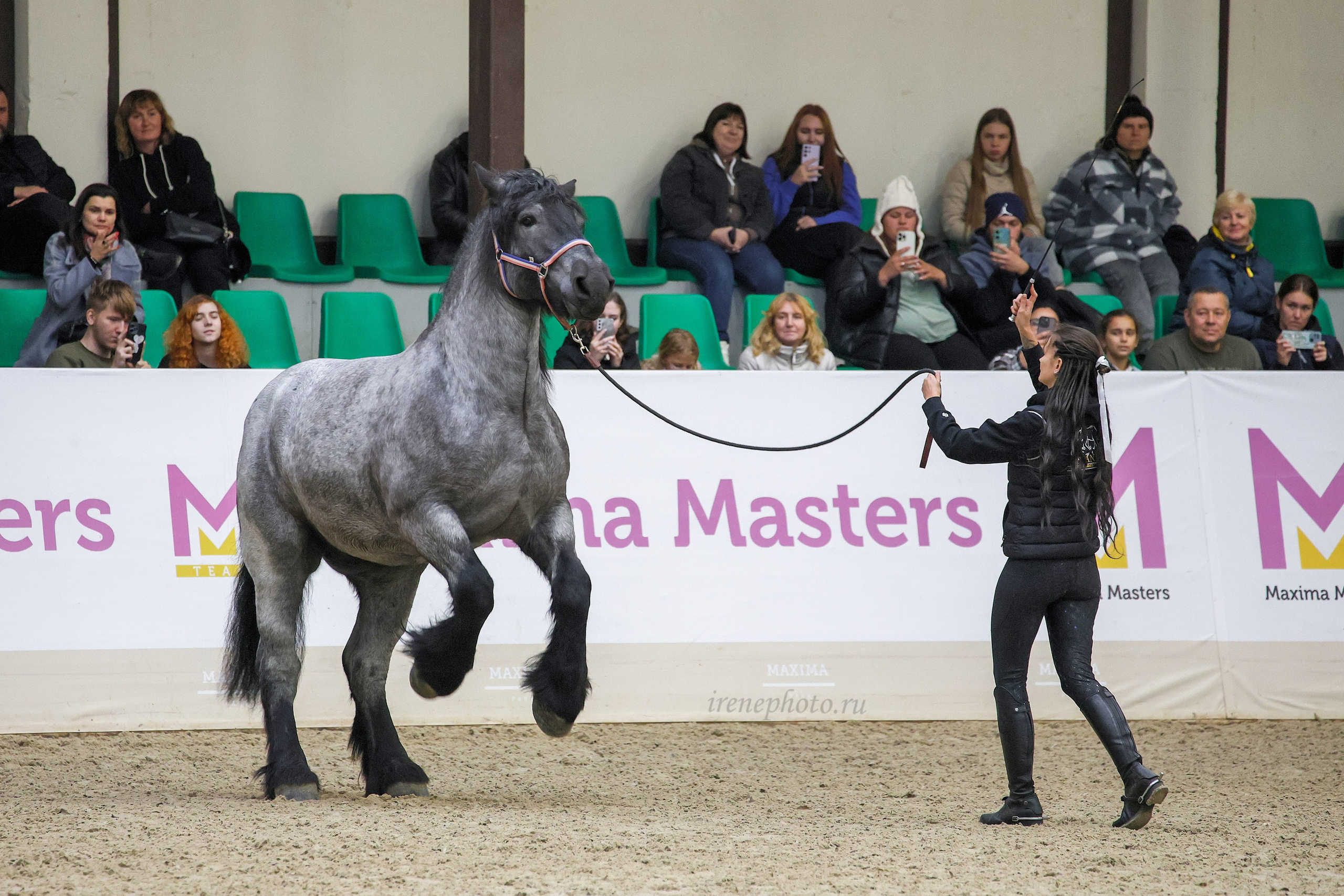 Конная Россия 2024. Irenephoto.ru