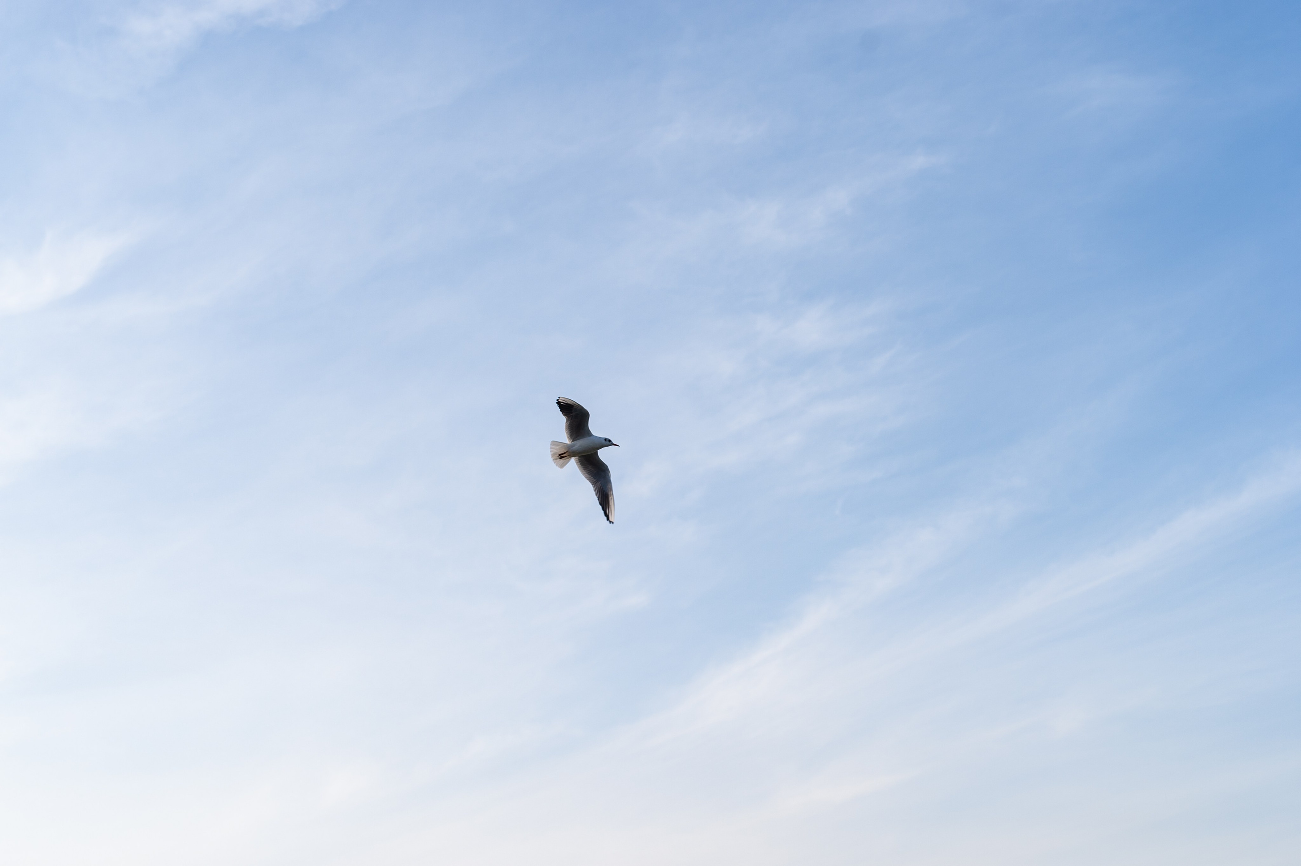 Пейзажи и архитектура. Коммерческий фотограф в Москве Садовников Алексей
