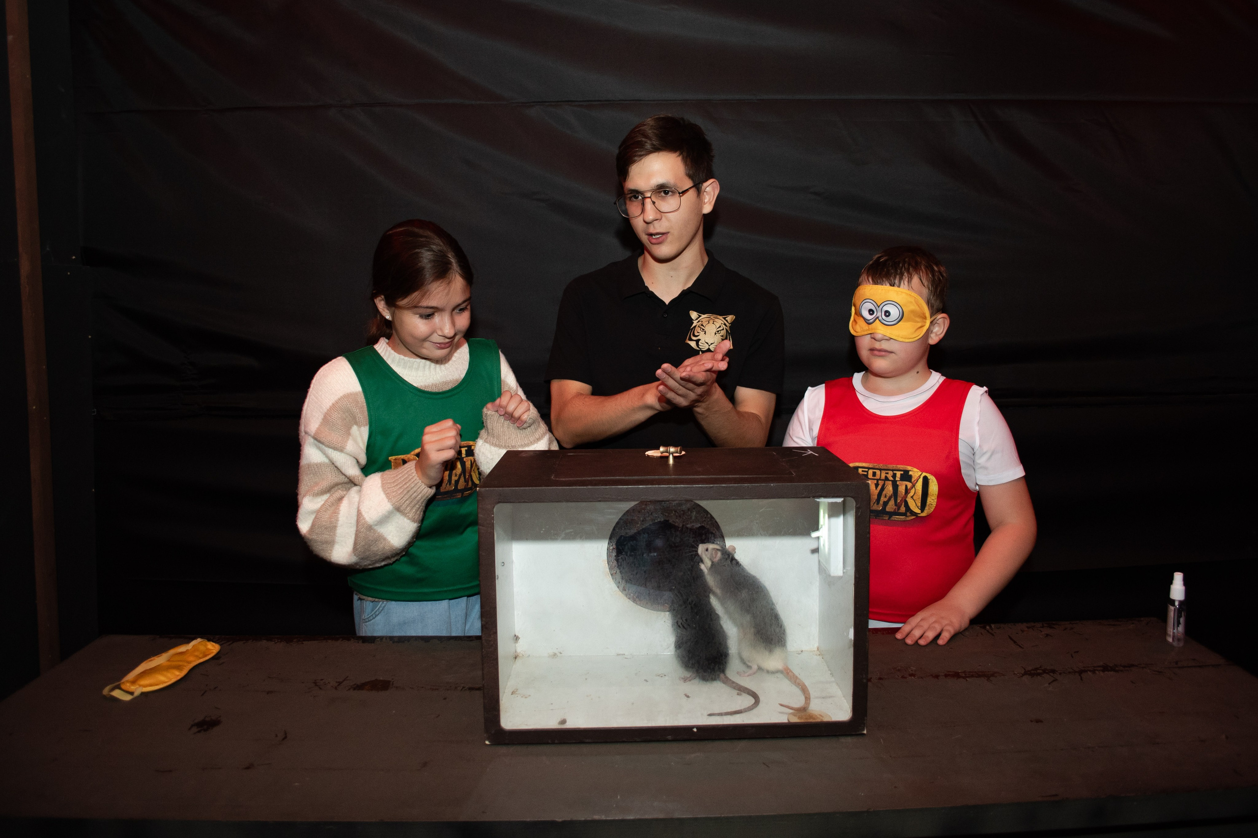 Форд Боярд День Рождения Ивана. Фотограф Челябинск Екатерина Миниханова