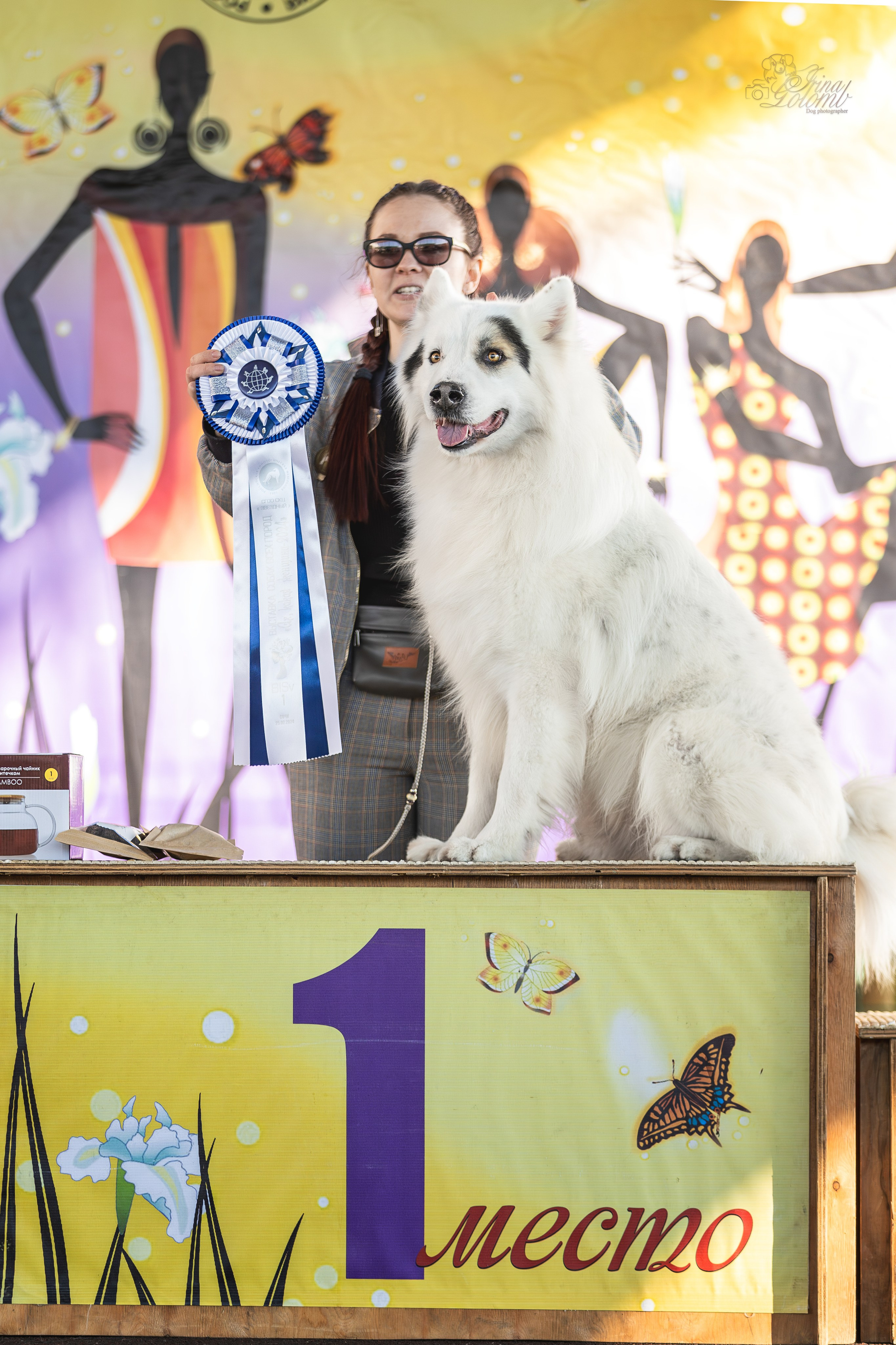 Выставка 25.02.2024. Ирина Голомб|Фотограф-анималист в  Сочи и Калининграде