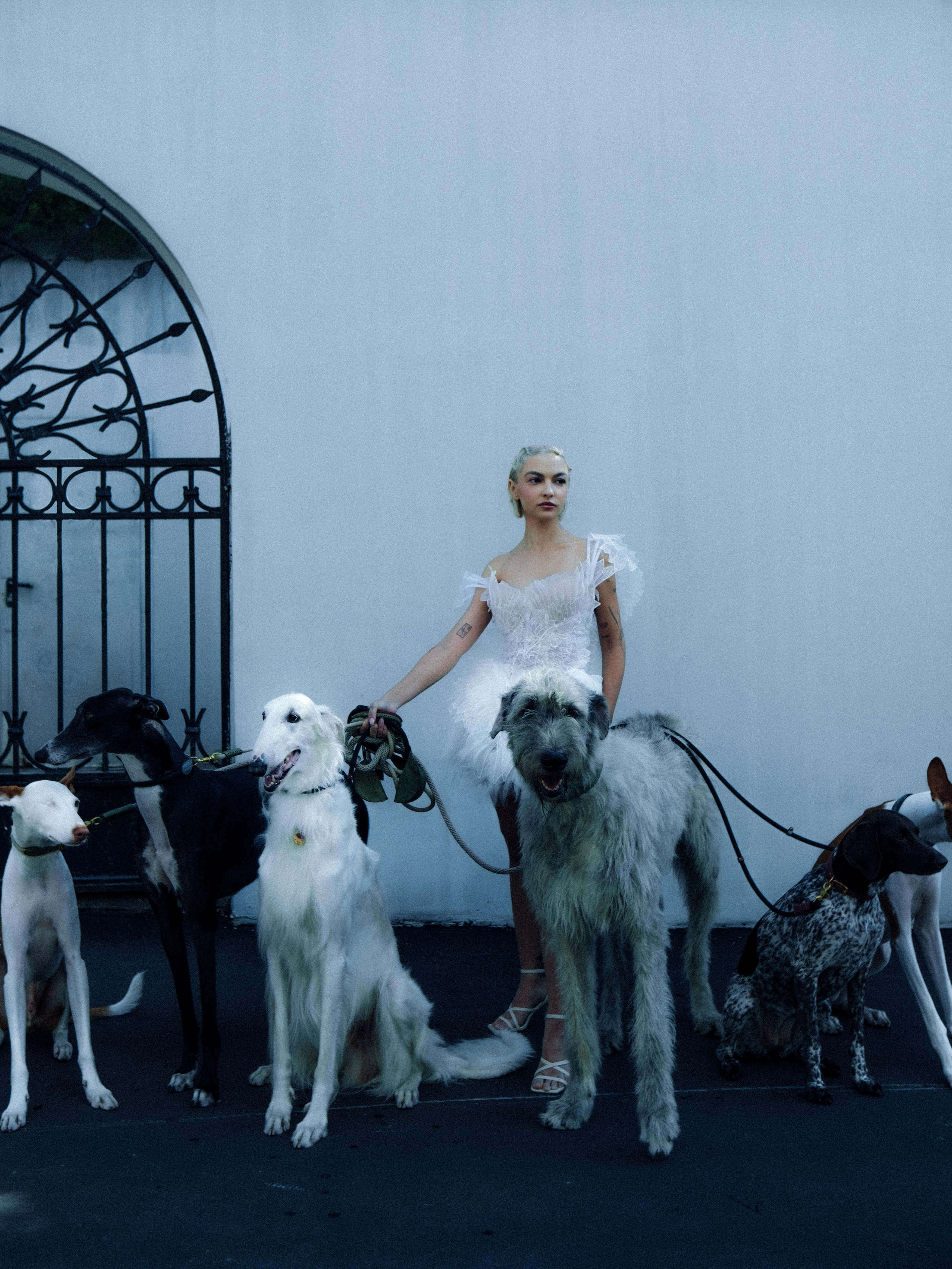 Dogbar. Dariaegudina.ru