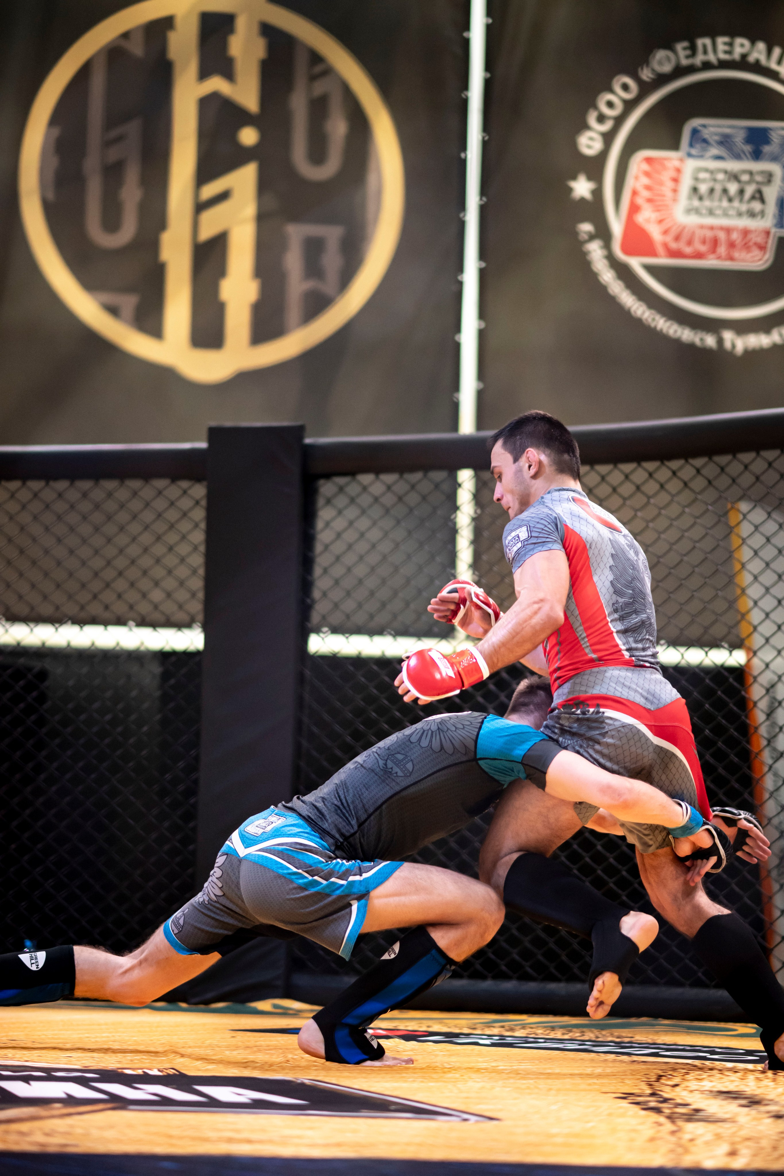 Всероссийский турнир ММА. Новомосковск, ноябрь 2025. Спортивный фотограф в Туле и Тульской области. Файсханова Фото Спорт