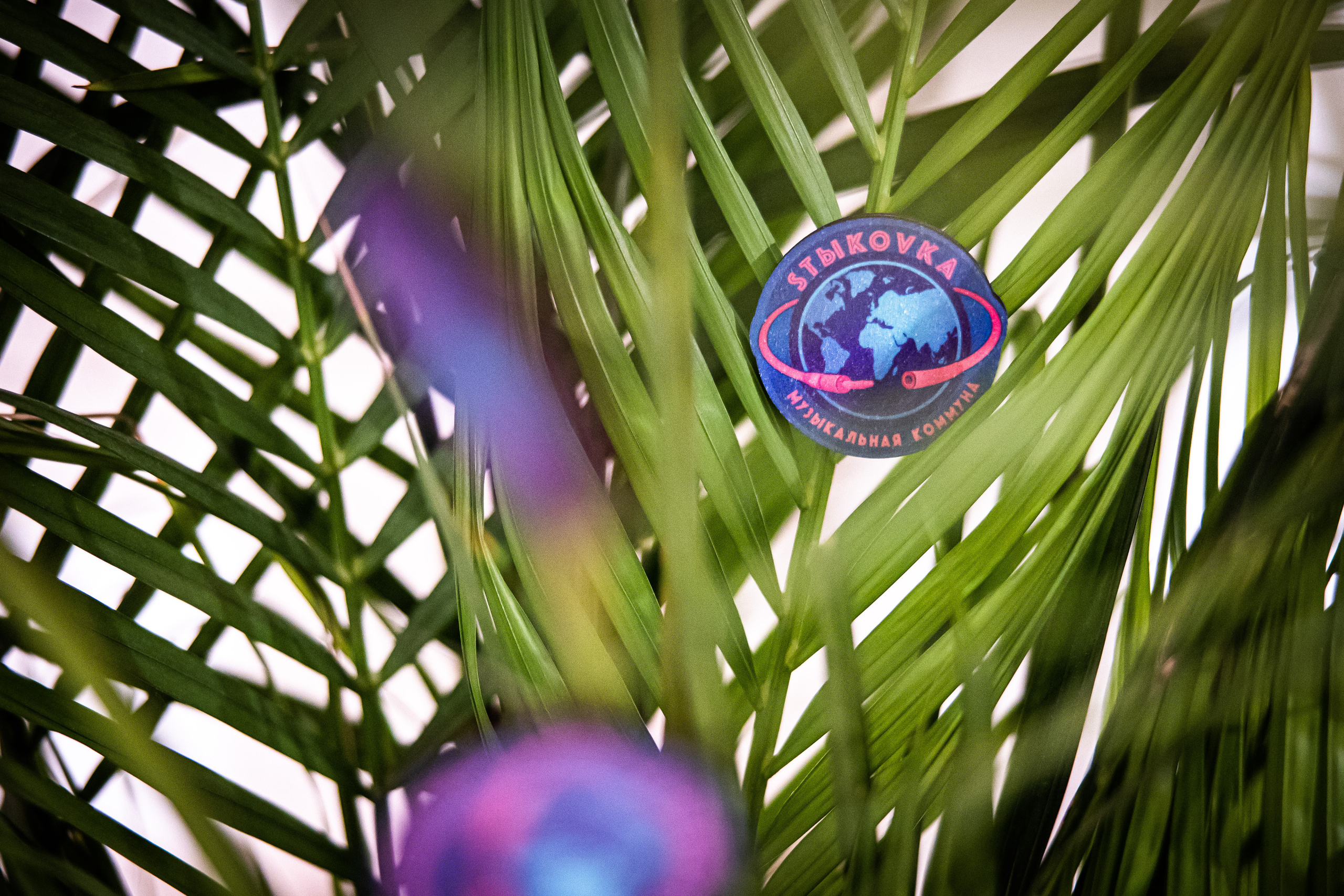 Стыковка. Репортажный фотограф в Москве