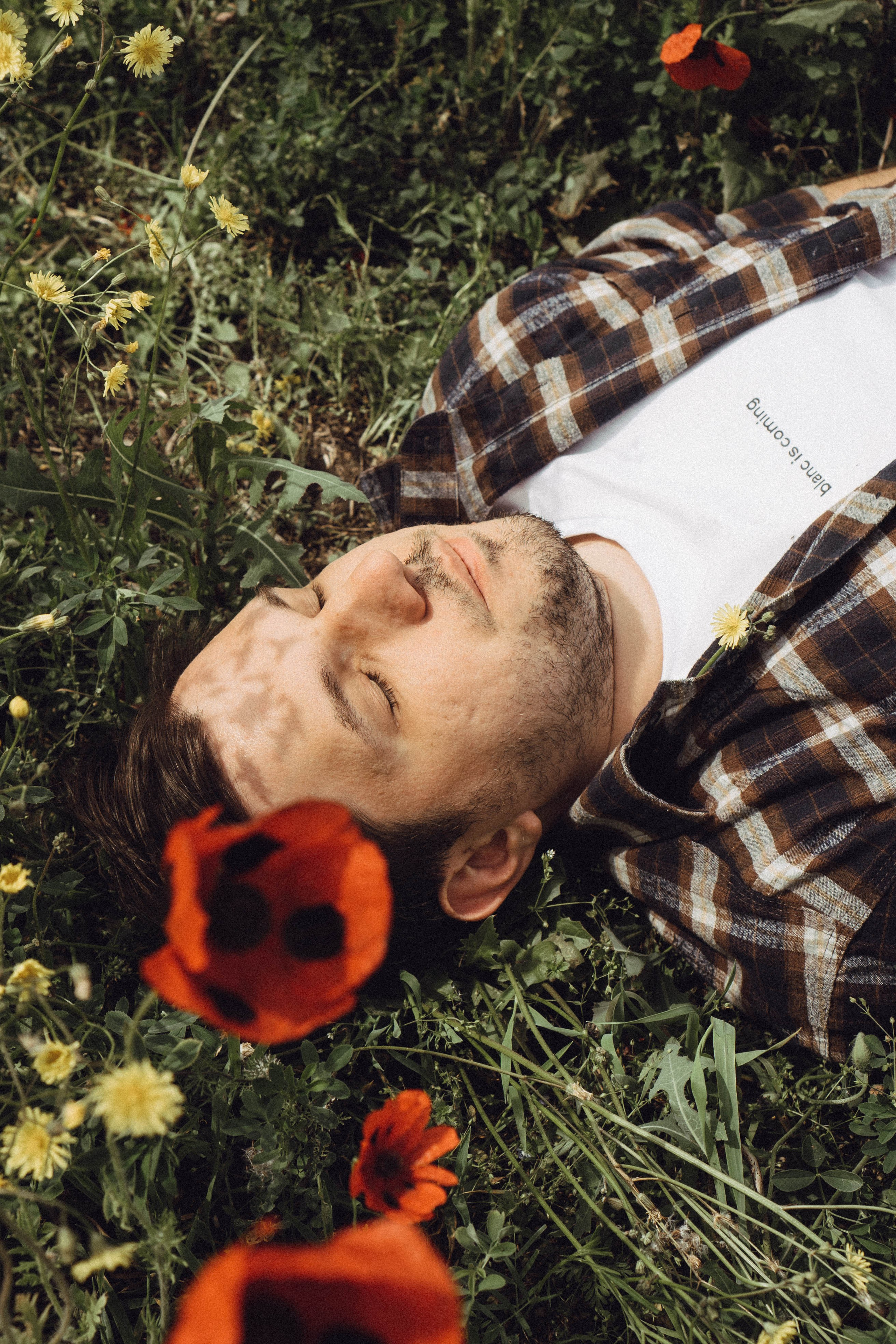 Маки. Профессиональный фотограф, Санкт-Петербург — Виктория Богомолова