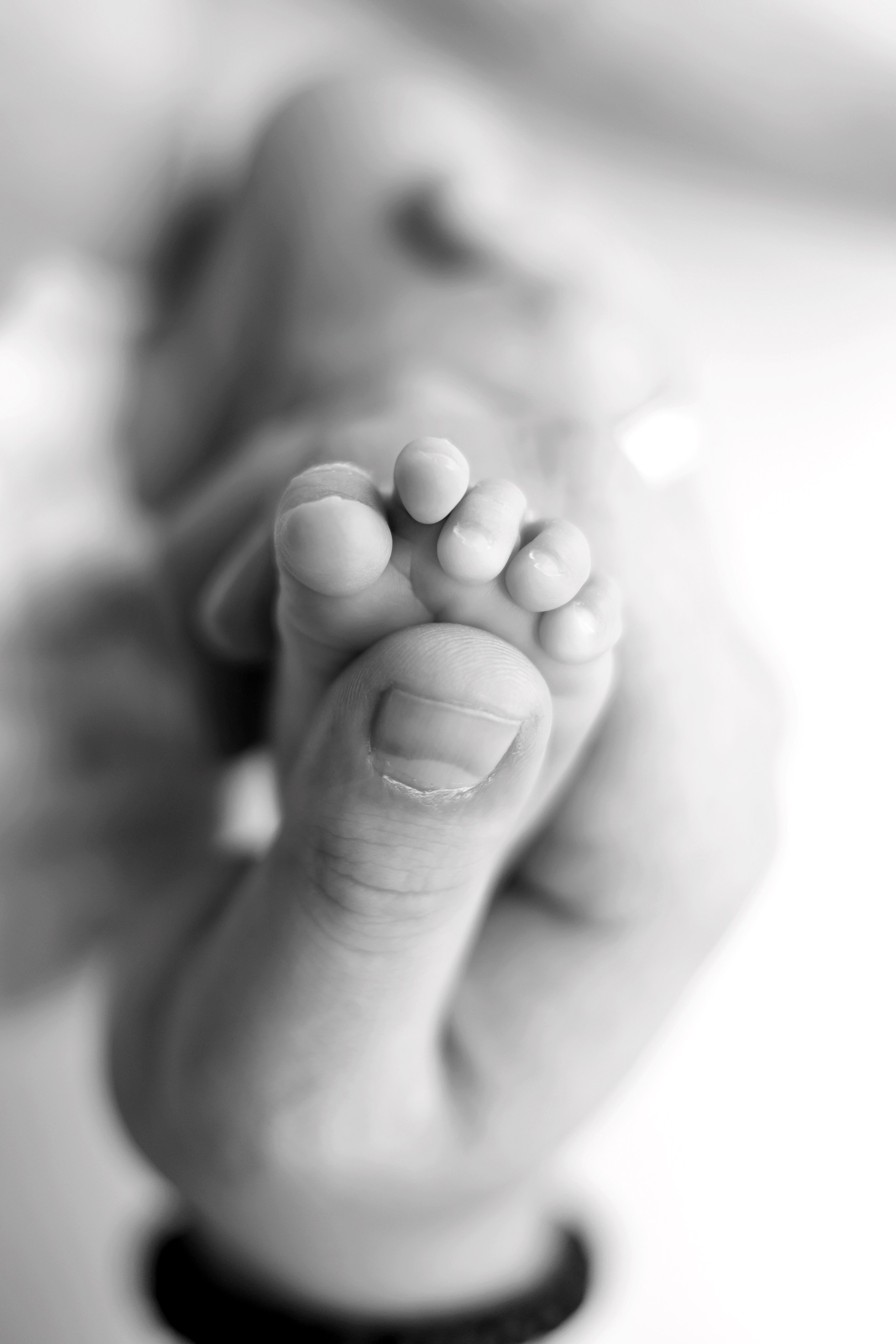 Ньюборн съемка Адель, оптимальный пакет. Фотограф новорожденных Москва. Ньюборн фотограф Москва