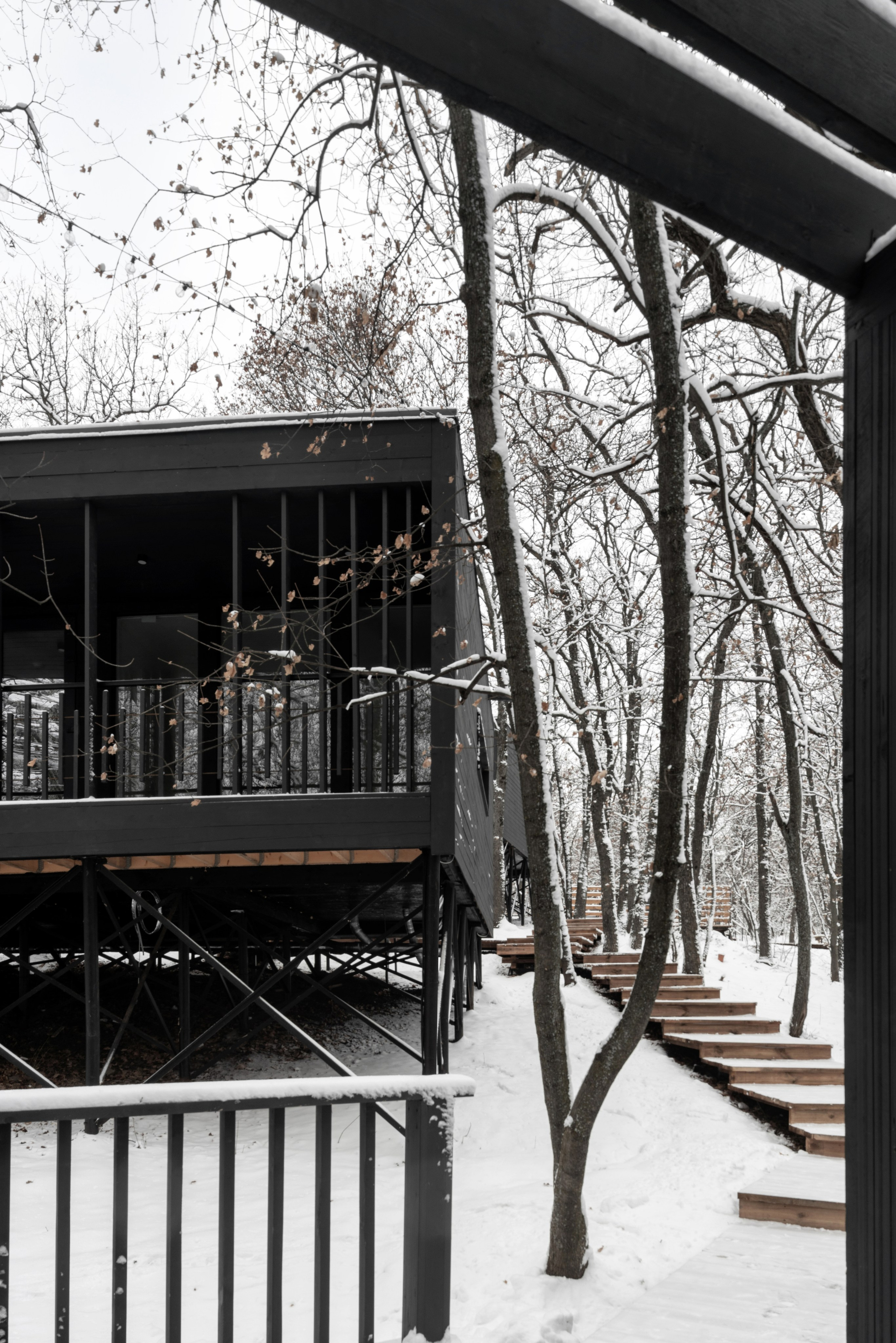 ХОЛМ. SAAS Селиванов Алексей Архитектурная Студия