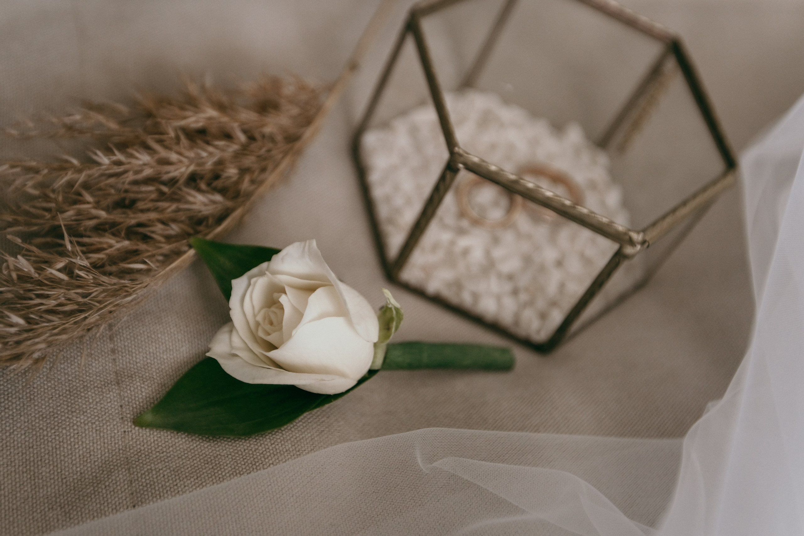 Владислав и Ксения