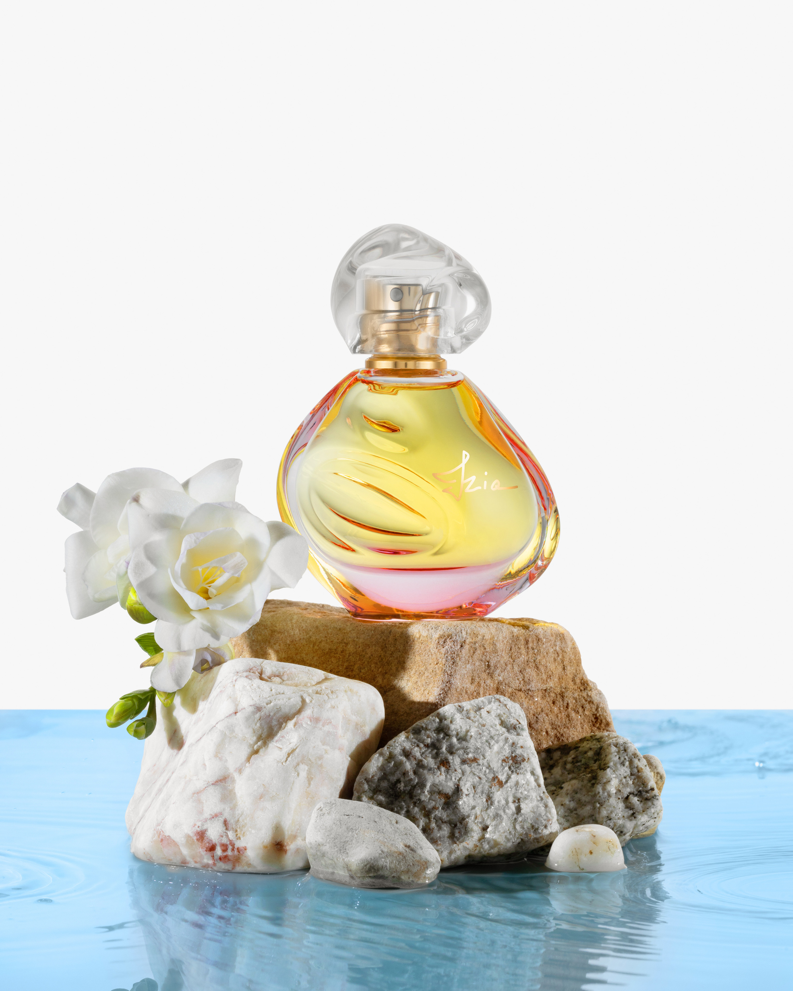 Предметная и фуд-съемка. Предметный Фотограф Москва