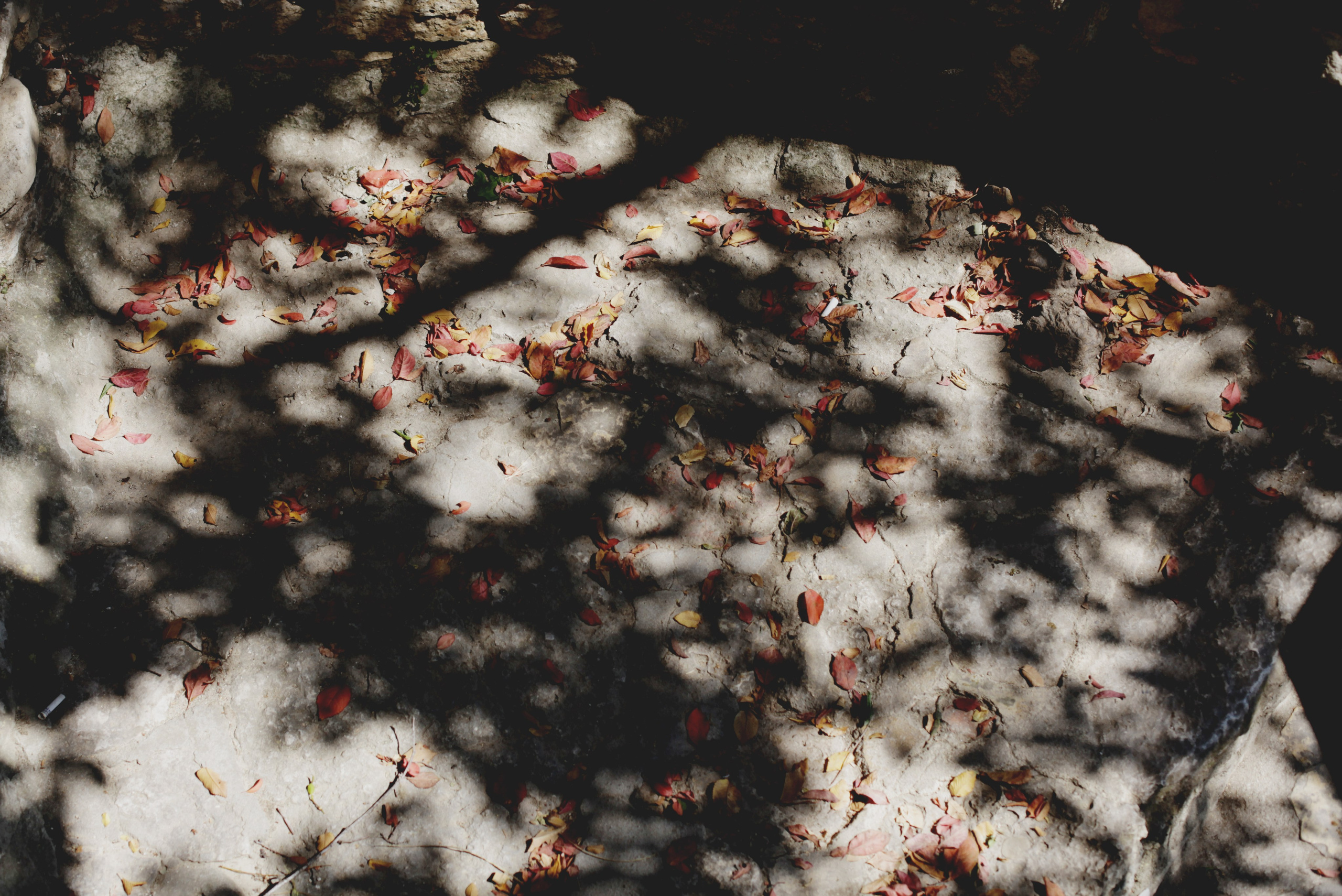 Болгария. Аня Степанова