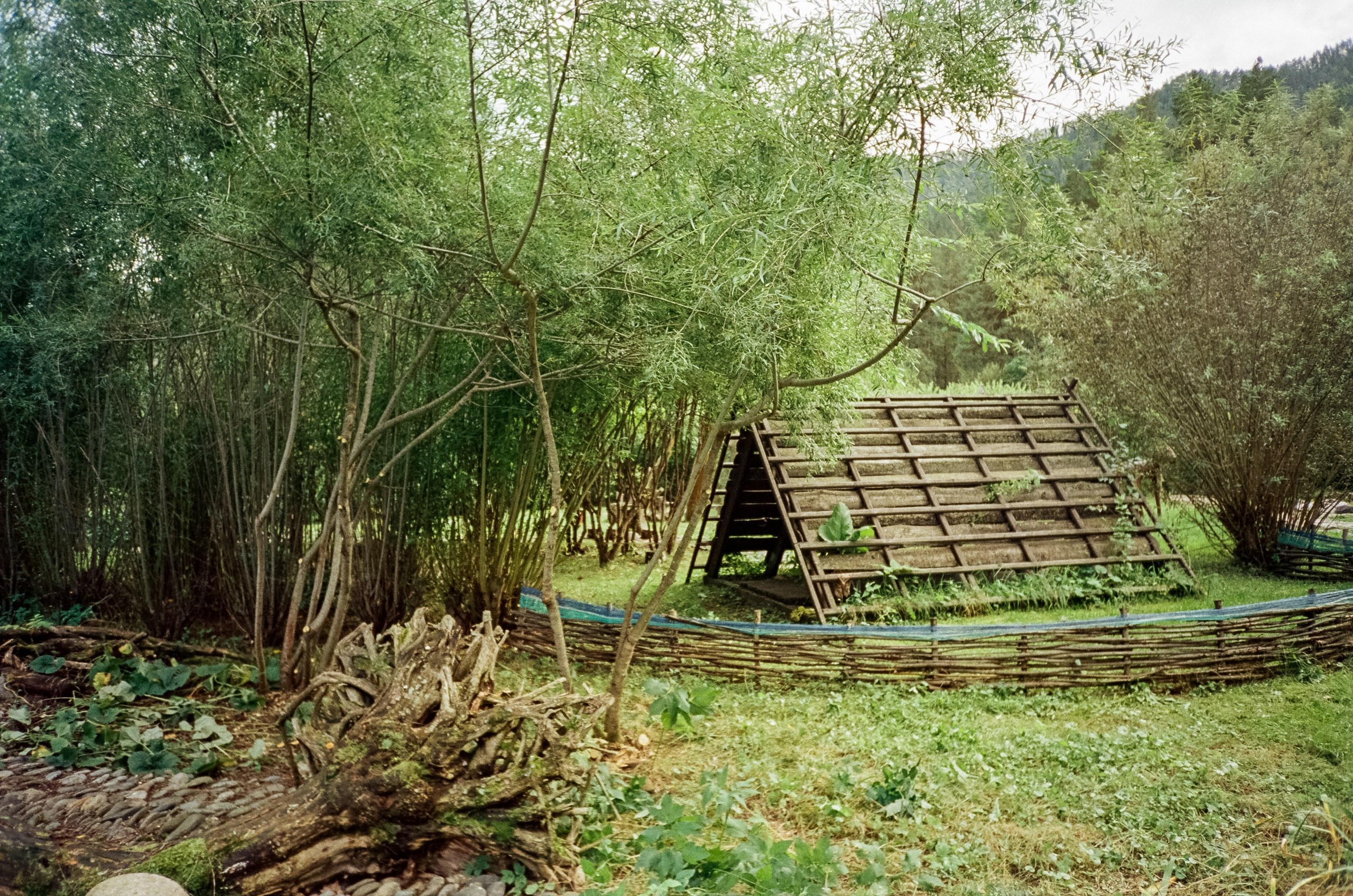 Ботанический сад и река Сема. Фотограф-документалист Мария Осокина