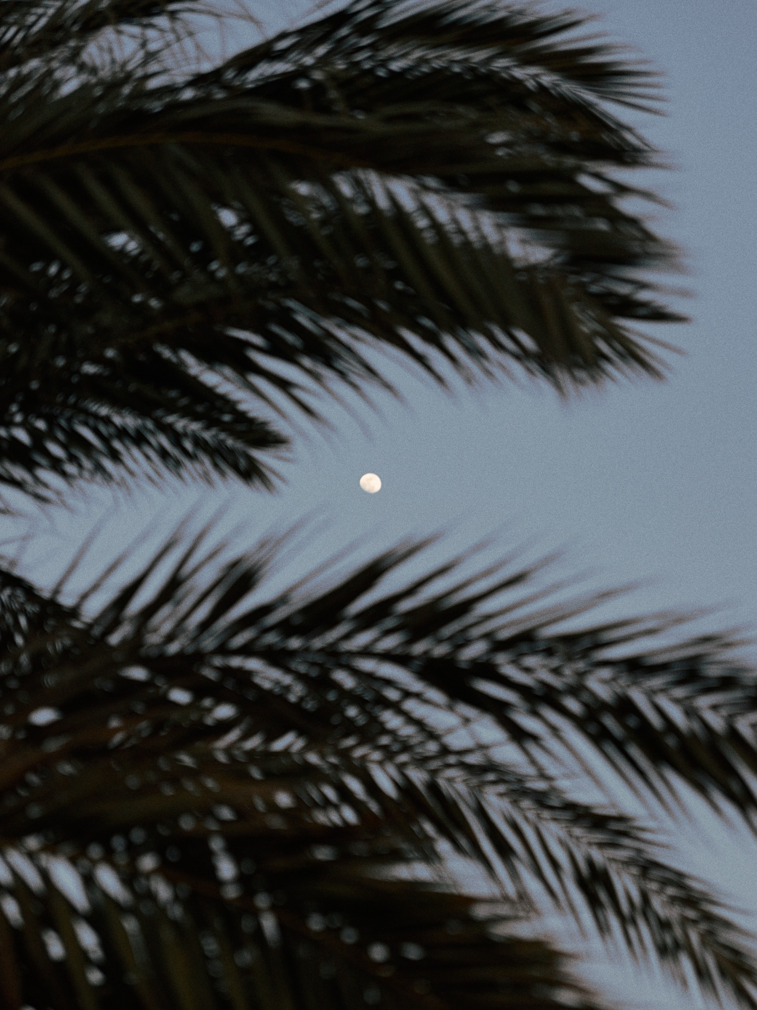 Диптих. Jorgis — фотограф в Хургаде / обучение фотографии