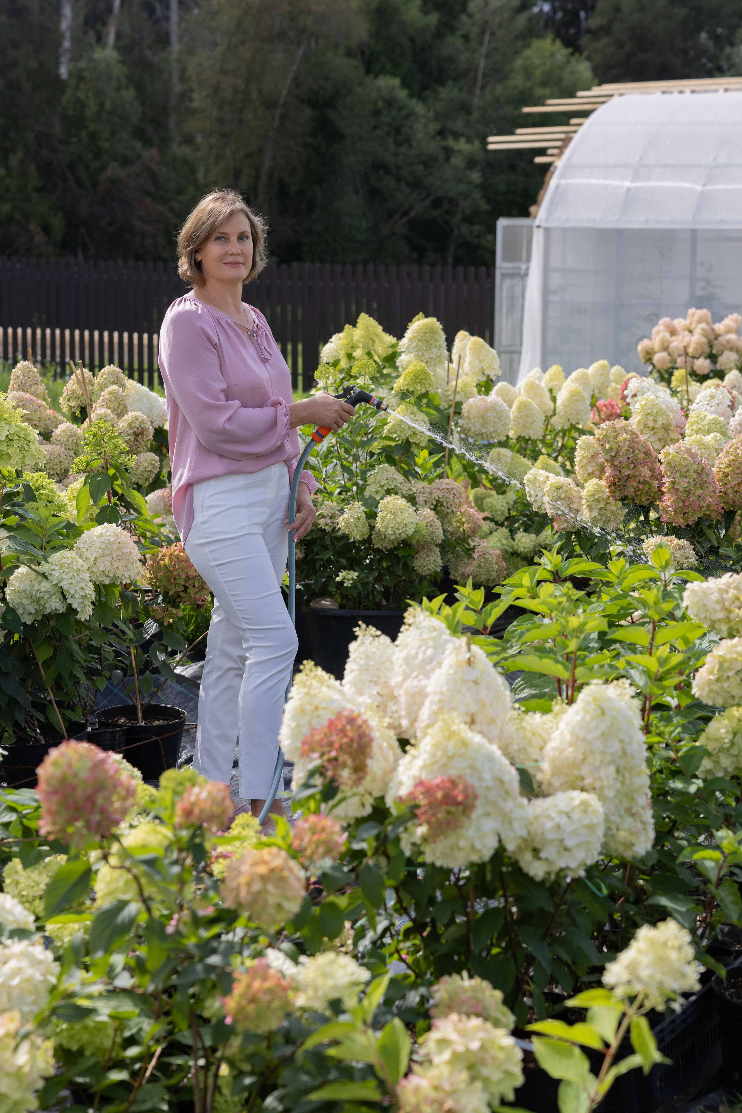 Питомник гортензий Ольги Шевченко. Портретный и контент фотограф Москва. Татьяна Чистова