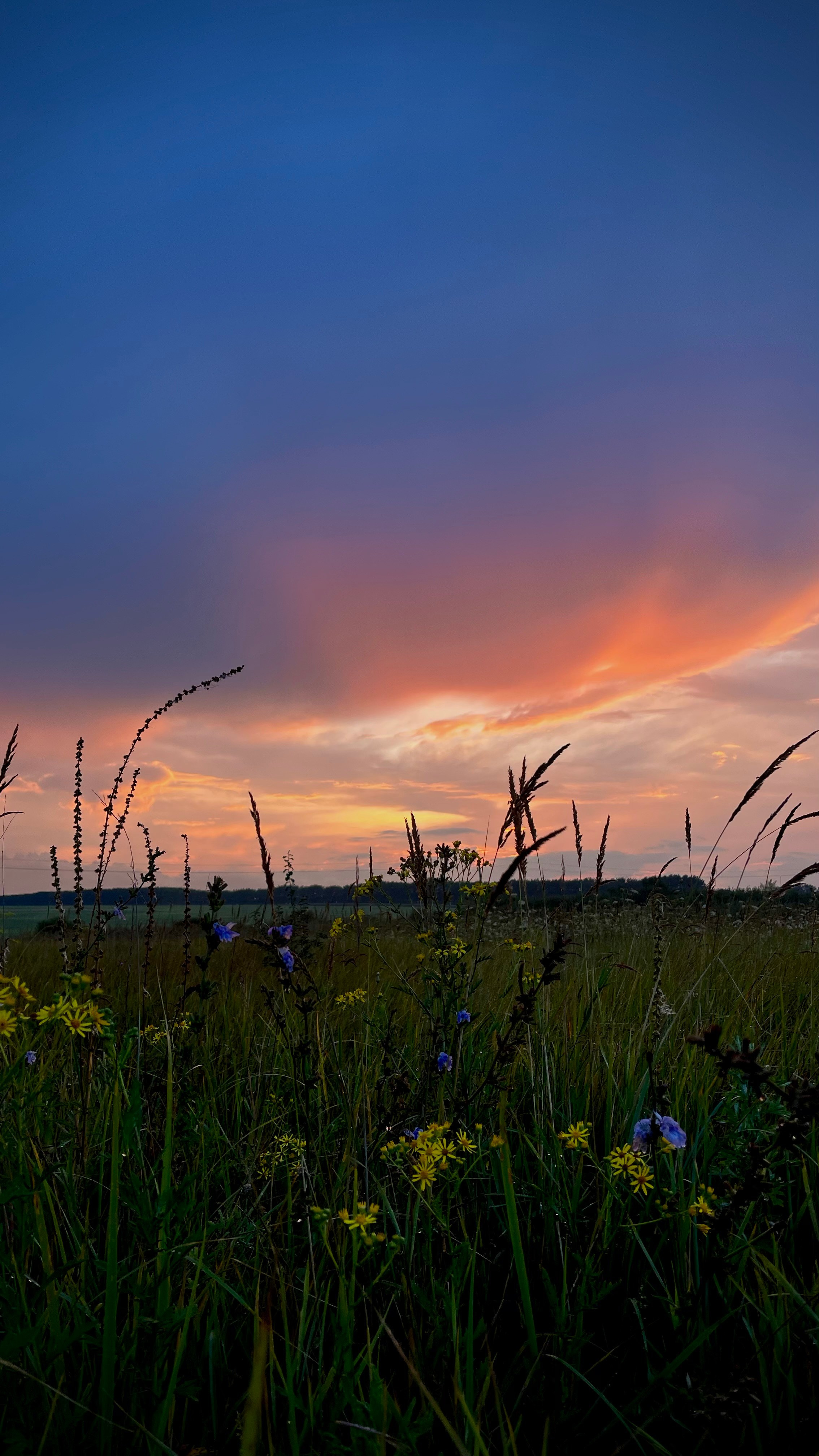 Закат природы. Фотограф природных объектов