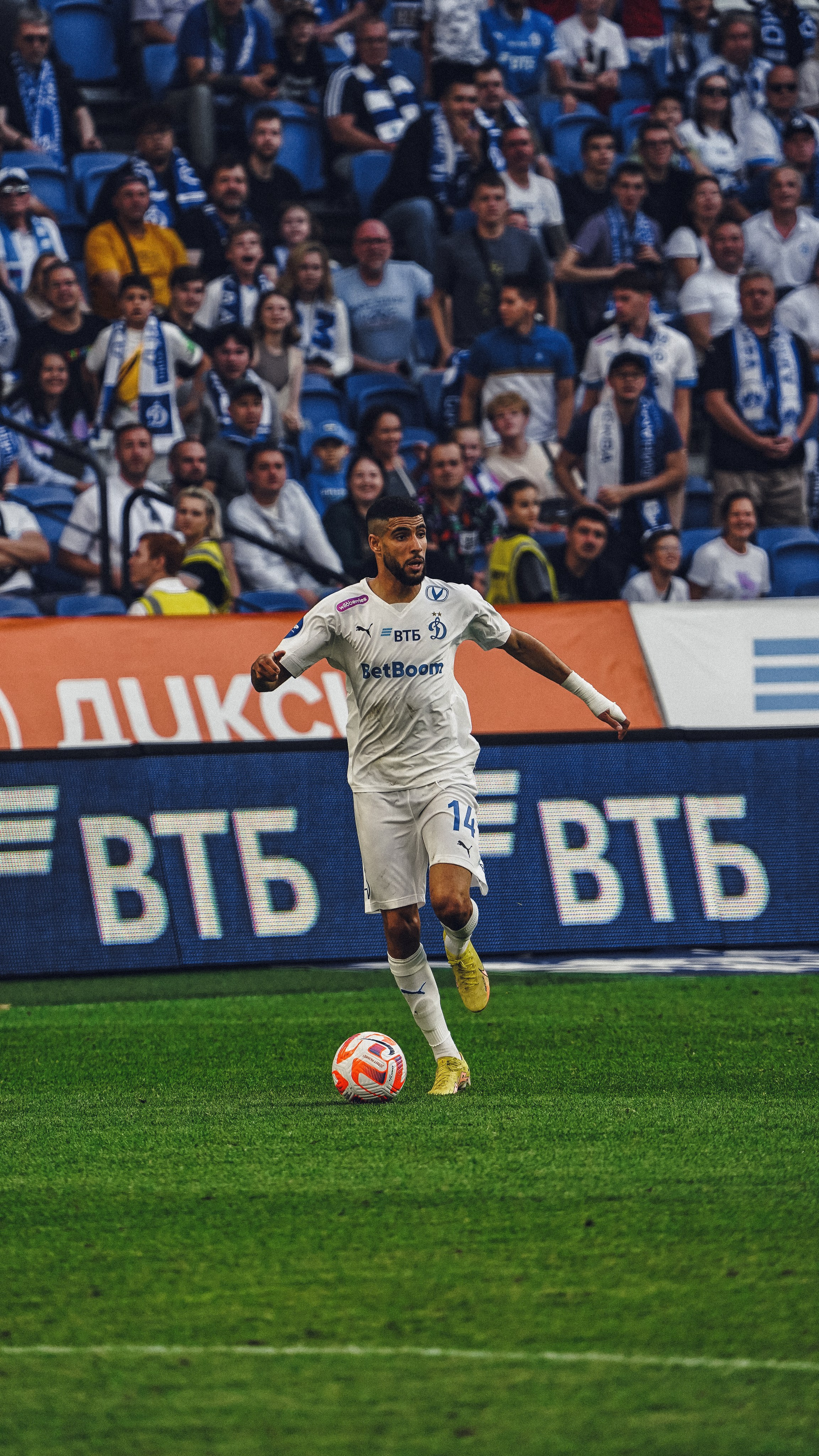 Футбол. Динамо-Ахмат 15.09.24. Автомобильный фотограф Шакая Кирилл