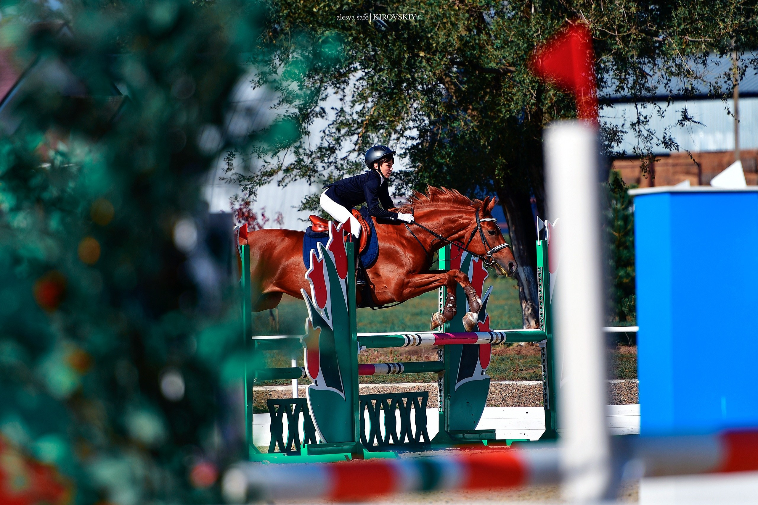 Кировский конный завод. Конный фотограф Alesya Safe
