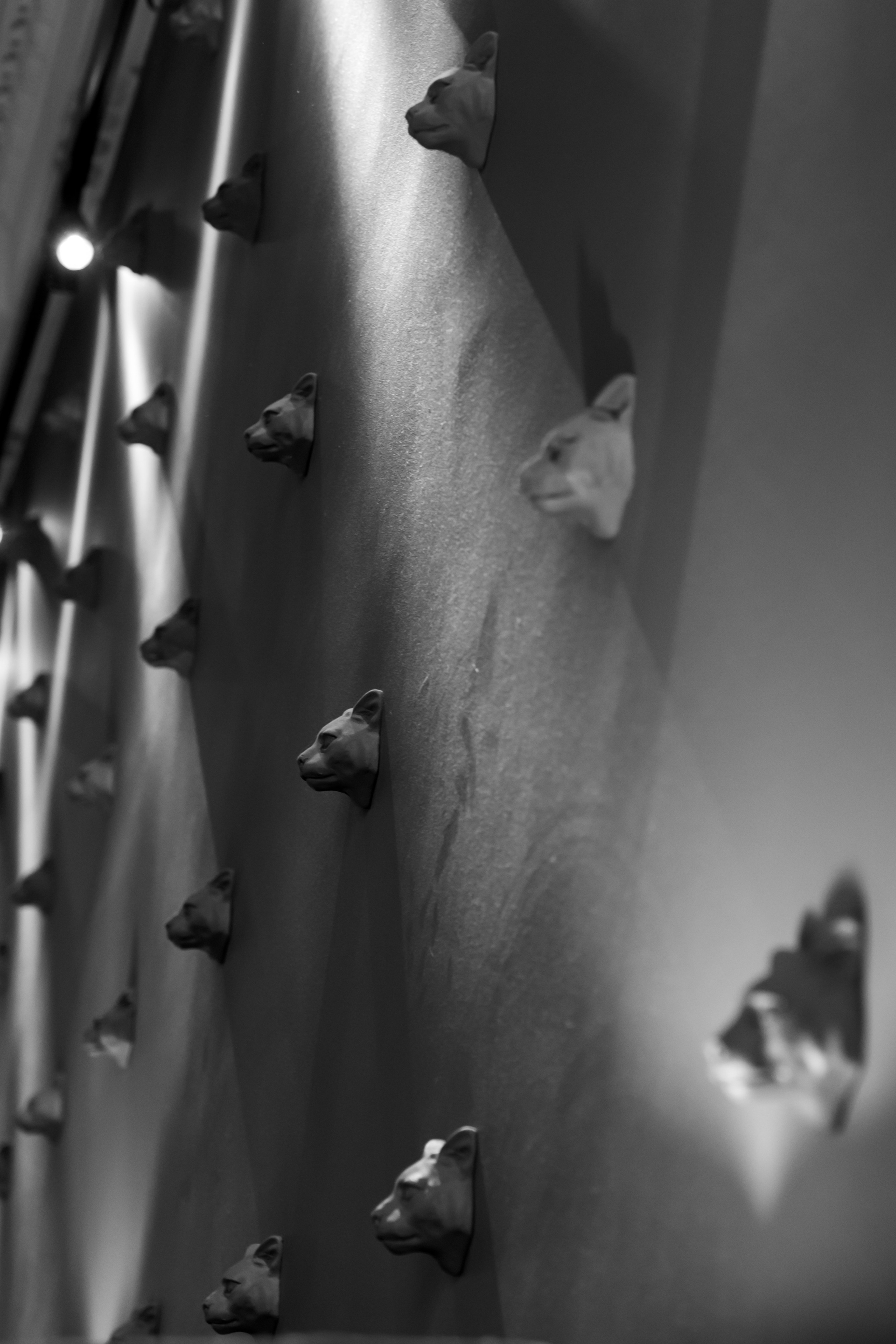 Иван и Яна. Свадебный фотограф Воронеж Марина Грудинина