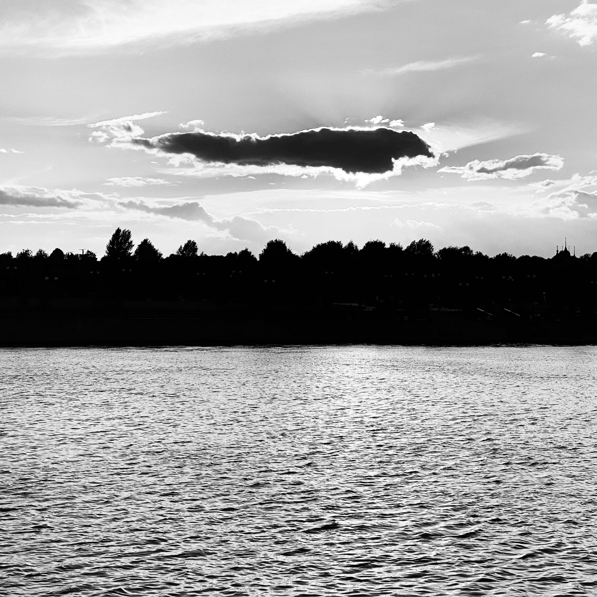 Работы с телефона. Свадебный фотограф в Москве Сафонова Анна