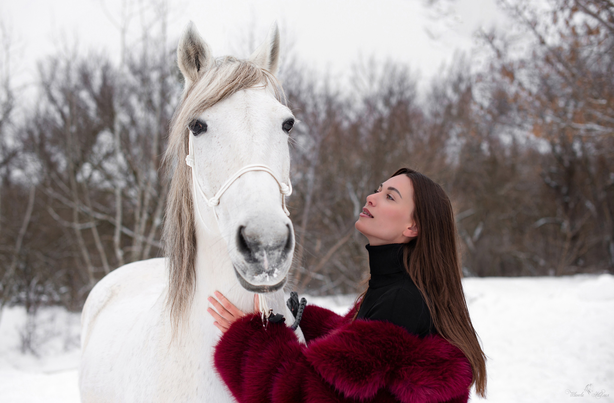 Кристина и Стрелка. Конный фотограф в Саратове Юлия Иванова