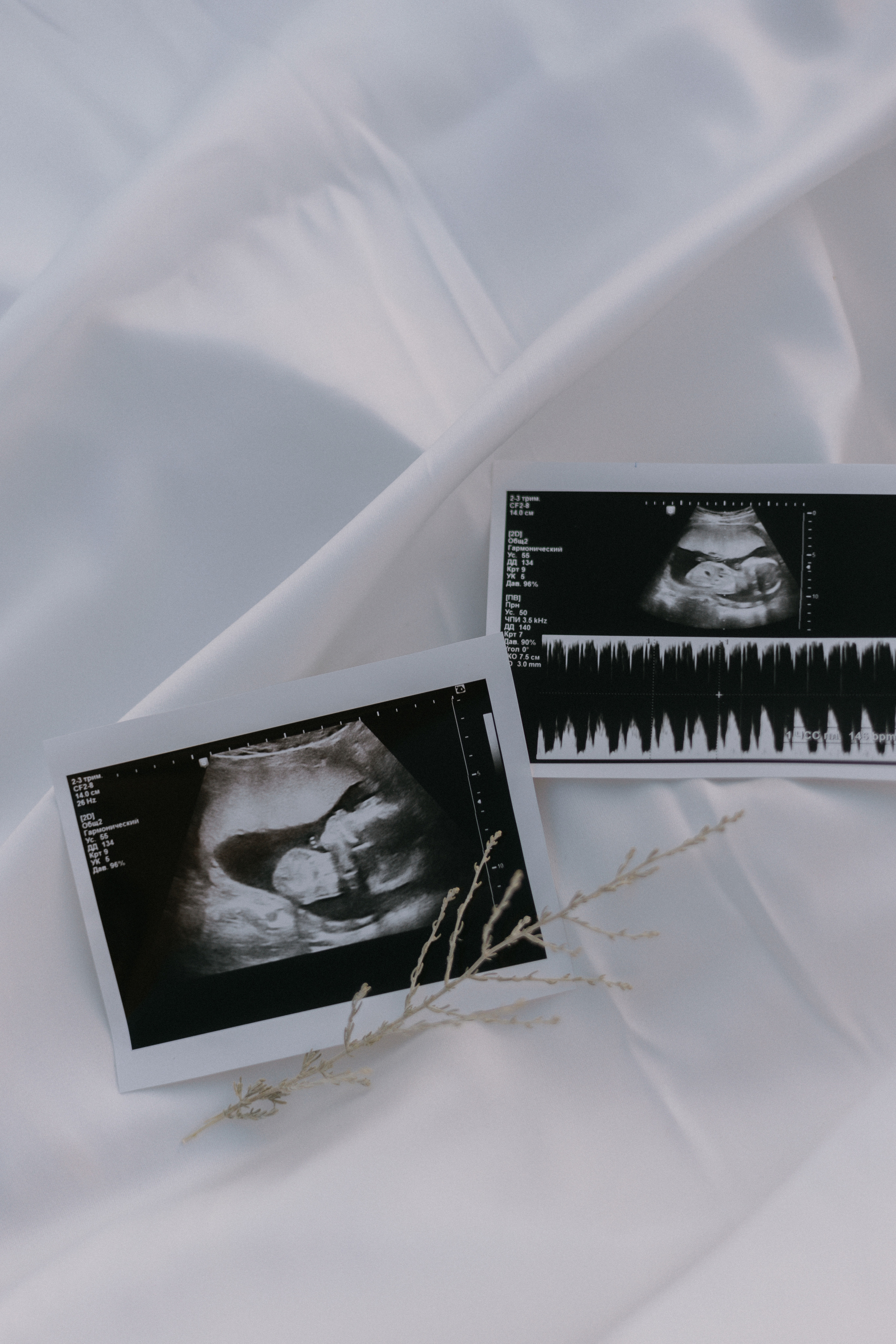 Константин и Полина. Ланемец Юлия — фотограф Волгоград/Волжский