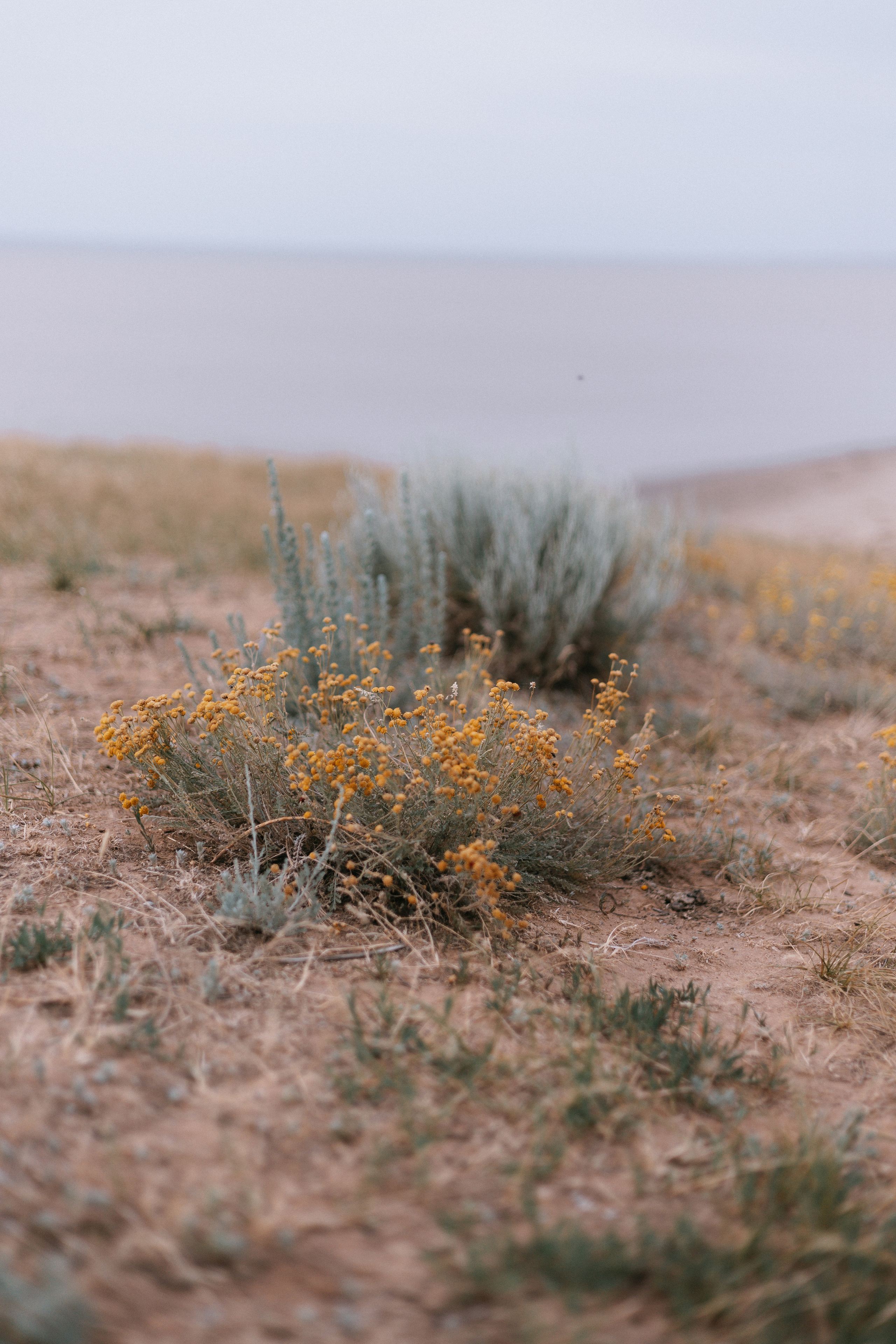 Данил и Мария. Ланемец Юлия — фотограф Волгоград/Волжский