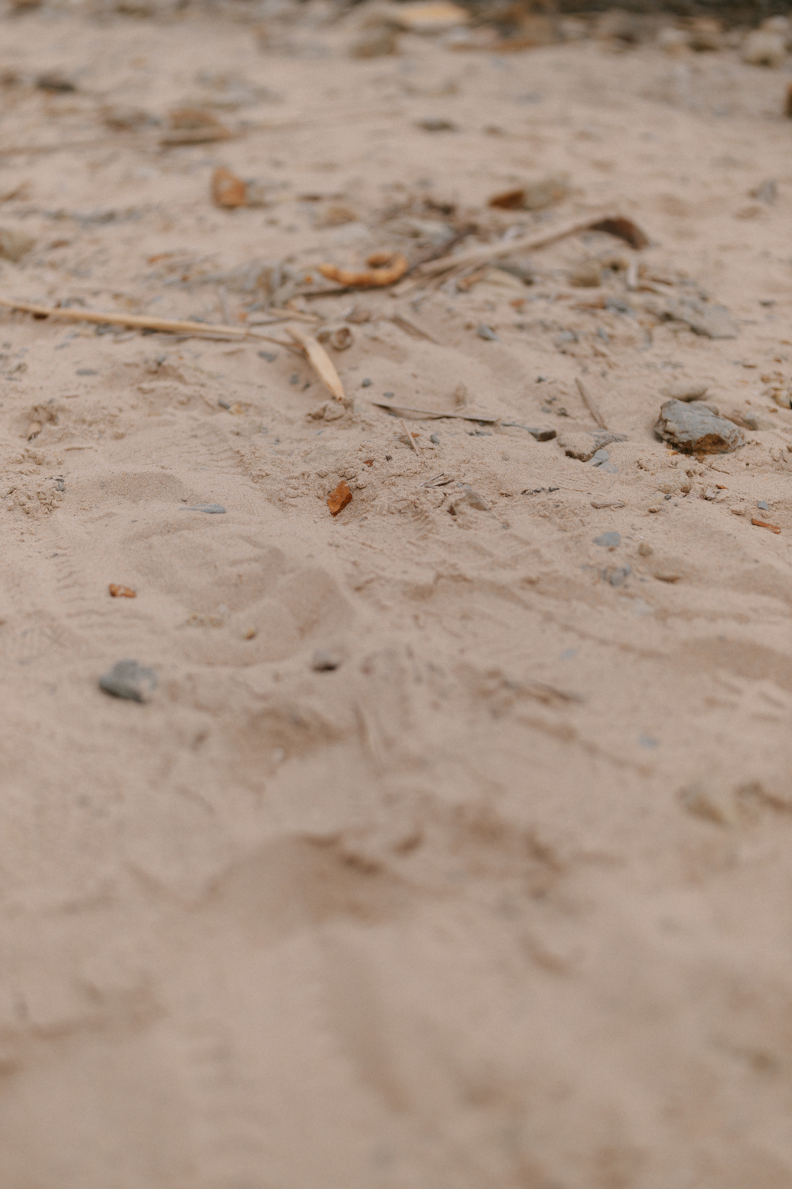 Саша + Алина +?. Ланемец Юлия — фотограф Волгоград/Волжский