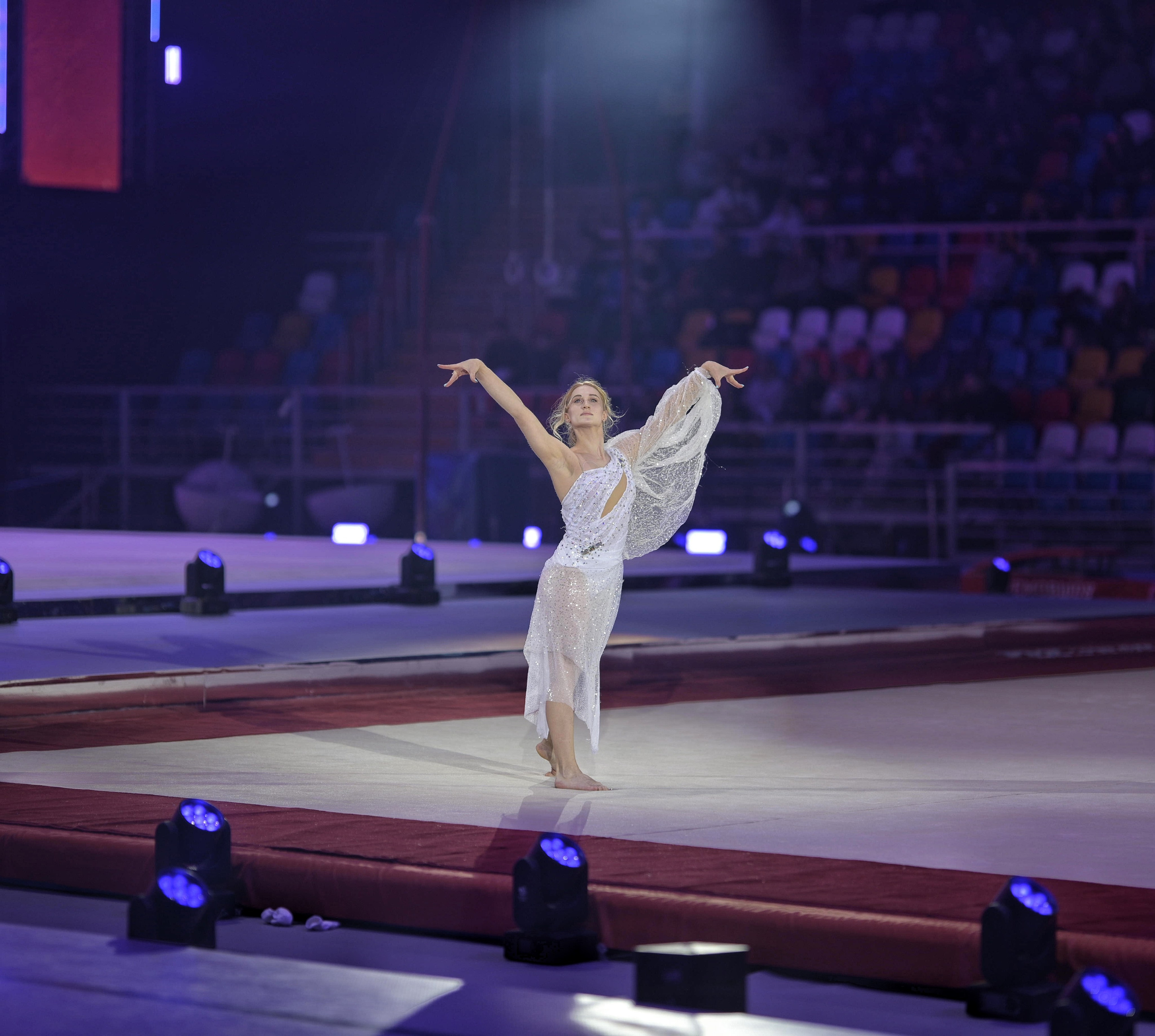 Шоу Алексея Немова 2024. Фотограф Ваших событий 📸