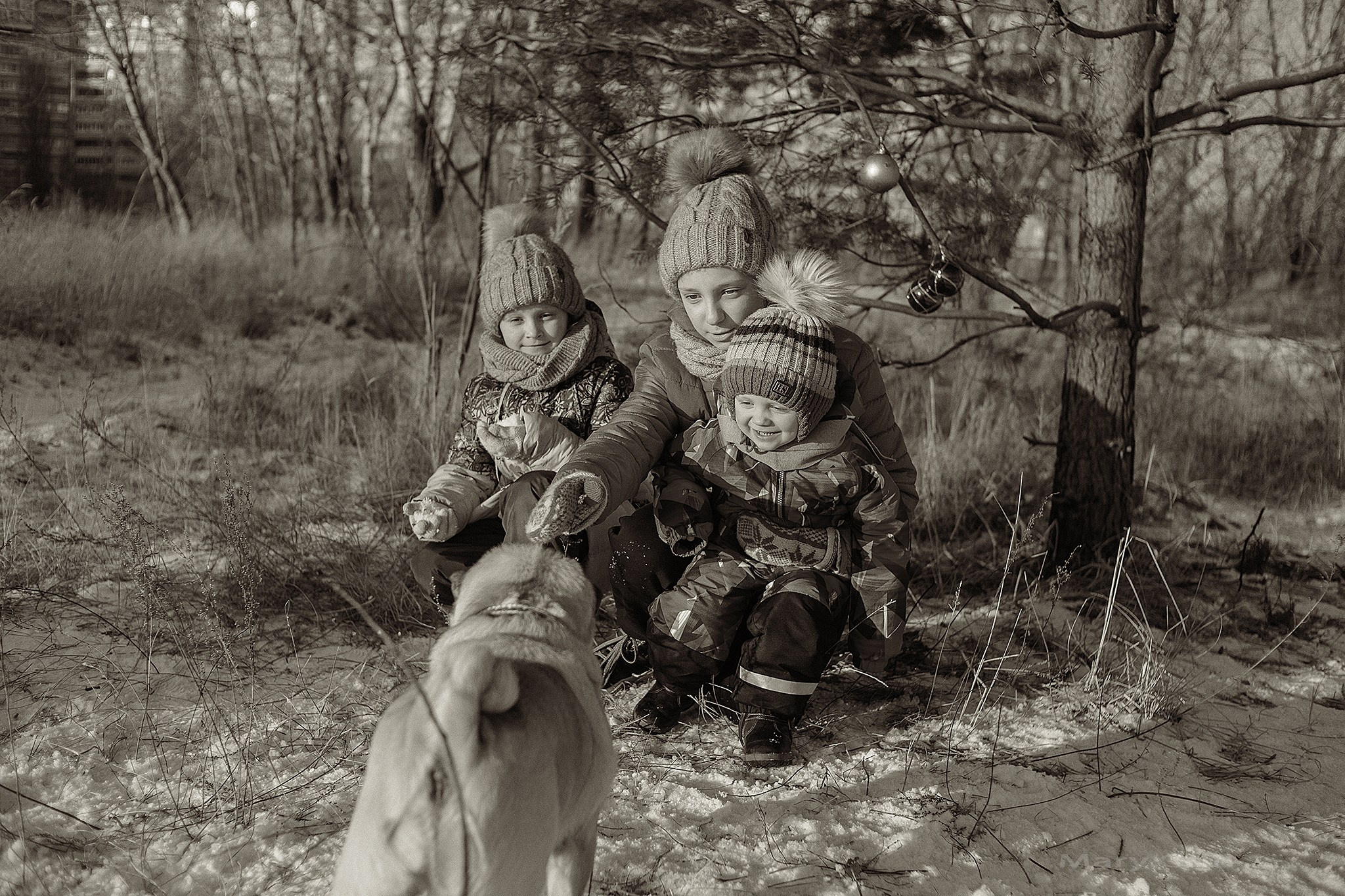 Зимняя фотопрогулка с мандаринами. Детский и семейный фотограф, фотограф мероприятий Нижний Новгород