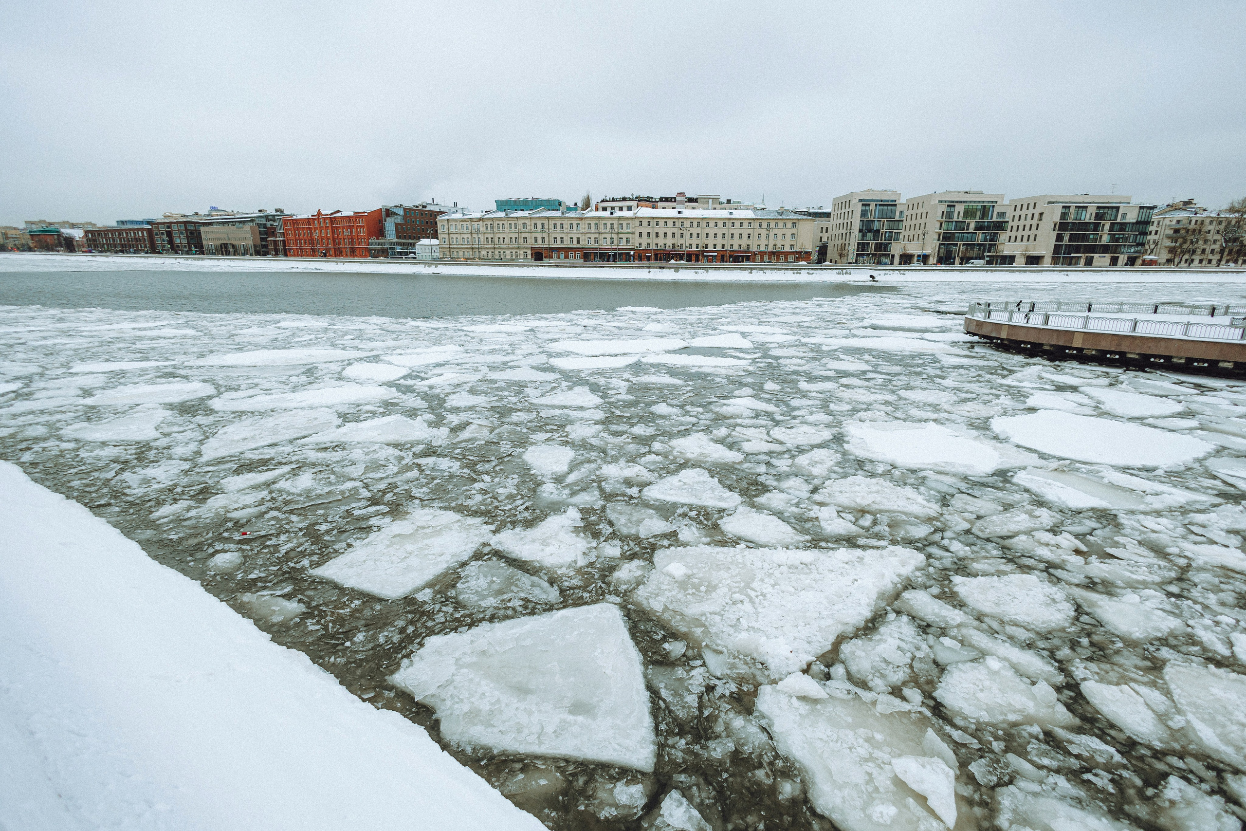 Настя и Ронин