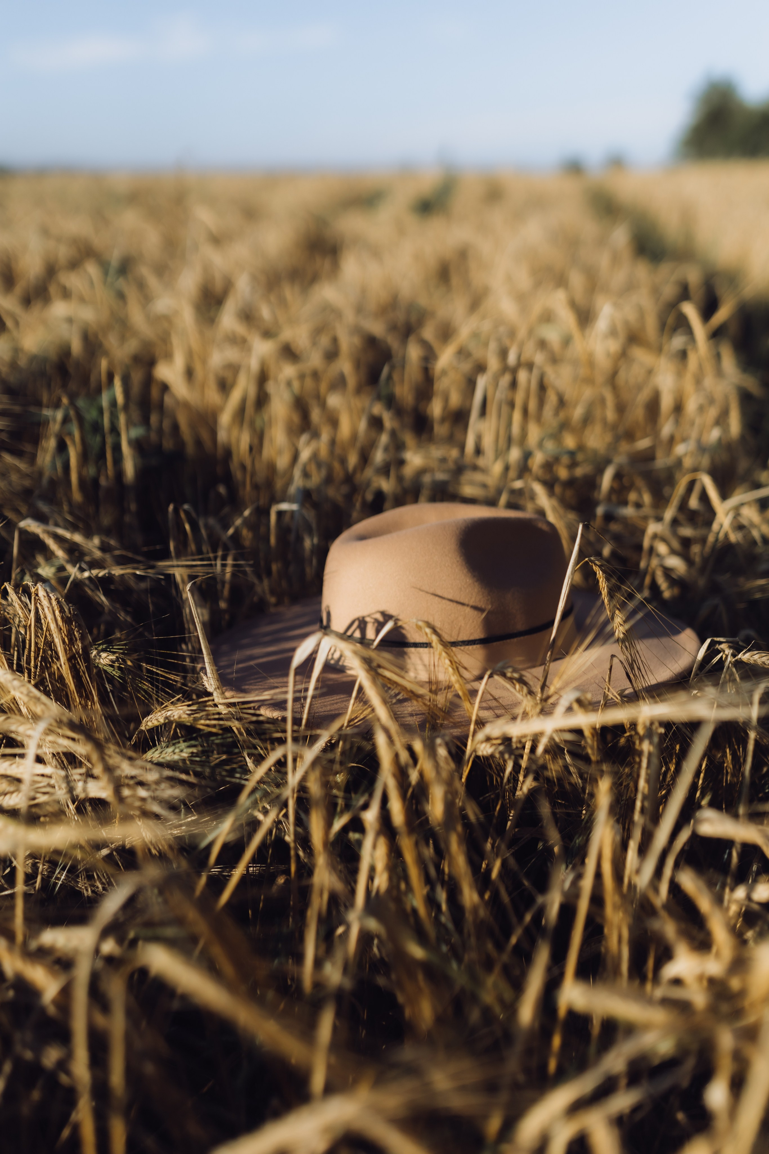 Фотосессия в поле. Фотограф Анна Шибанова Ангарск-Иркутск