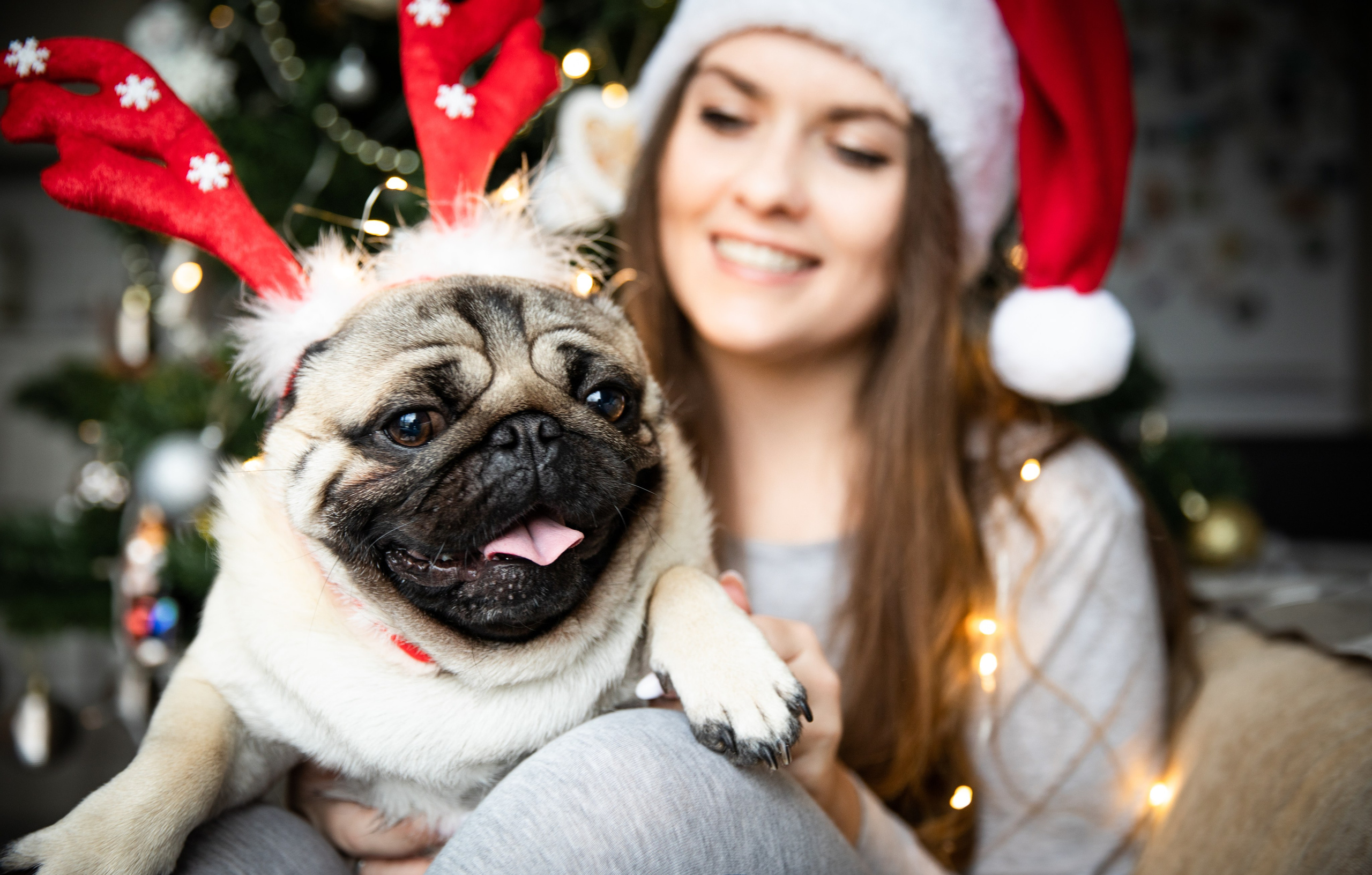 Family Christmas photo sessions. Sessões fotográficas de Natal para famílias. Professional Photographer in Portugal. Oksana Lomnova