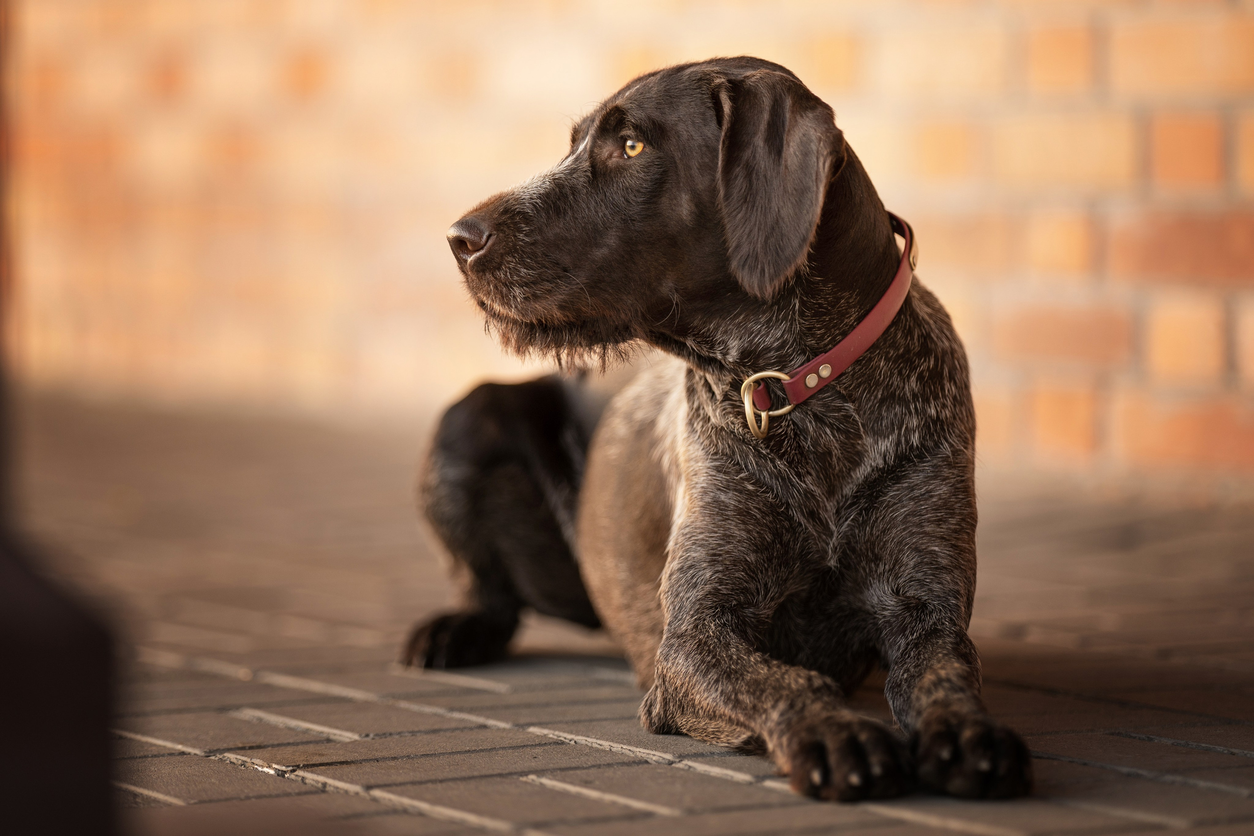 Фотографии. Главная